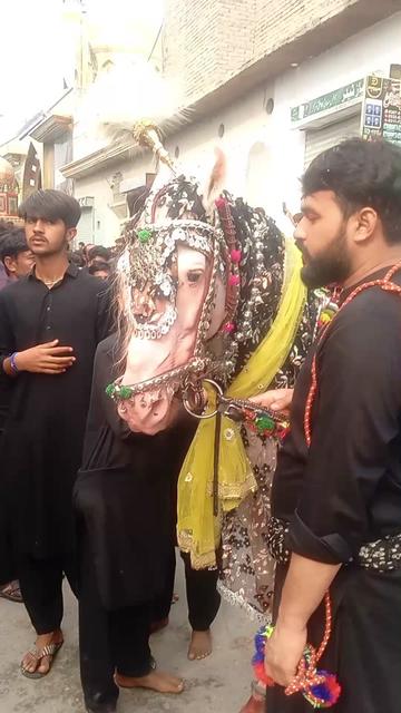 @Qaisar Abbas.804