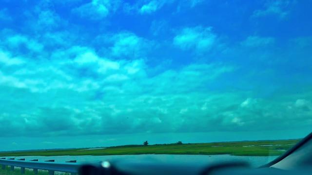@Noel💜🧡🤘🏼⛈️☀️🌊🌺🐾
