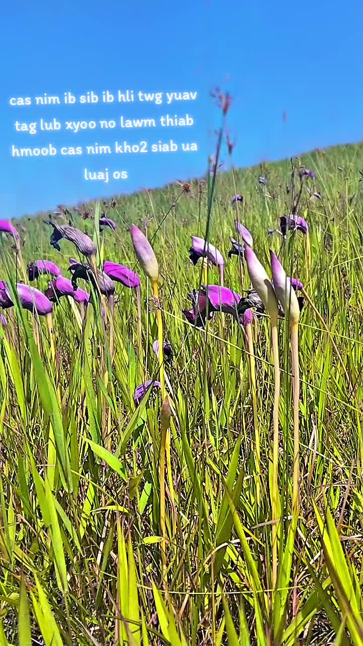 @ອ່ະໄມ🥰ຕົວນ້ອຍ🥰(10.m)