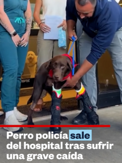 @Noticias Telemundo