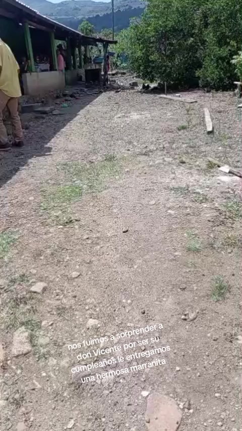 @linda la patrona de comapa