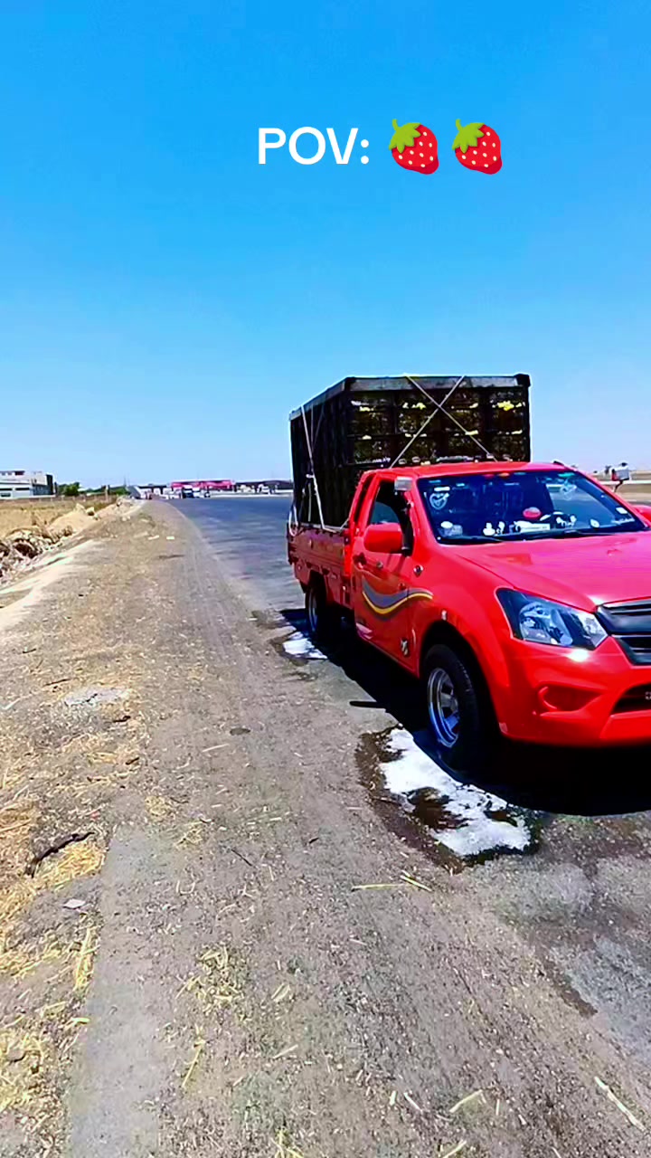 @فرولايةة بني سويف 🍓