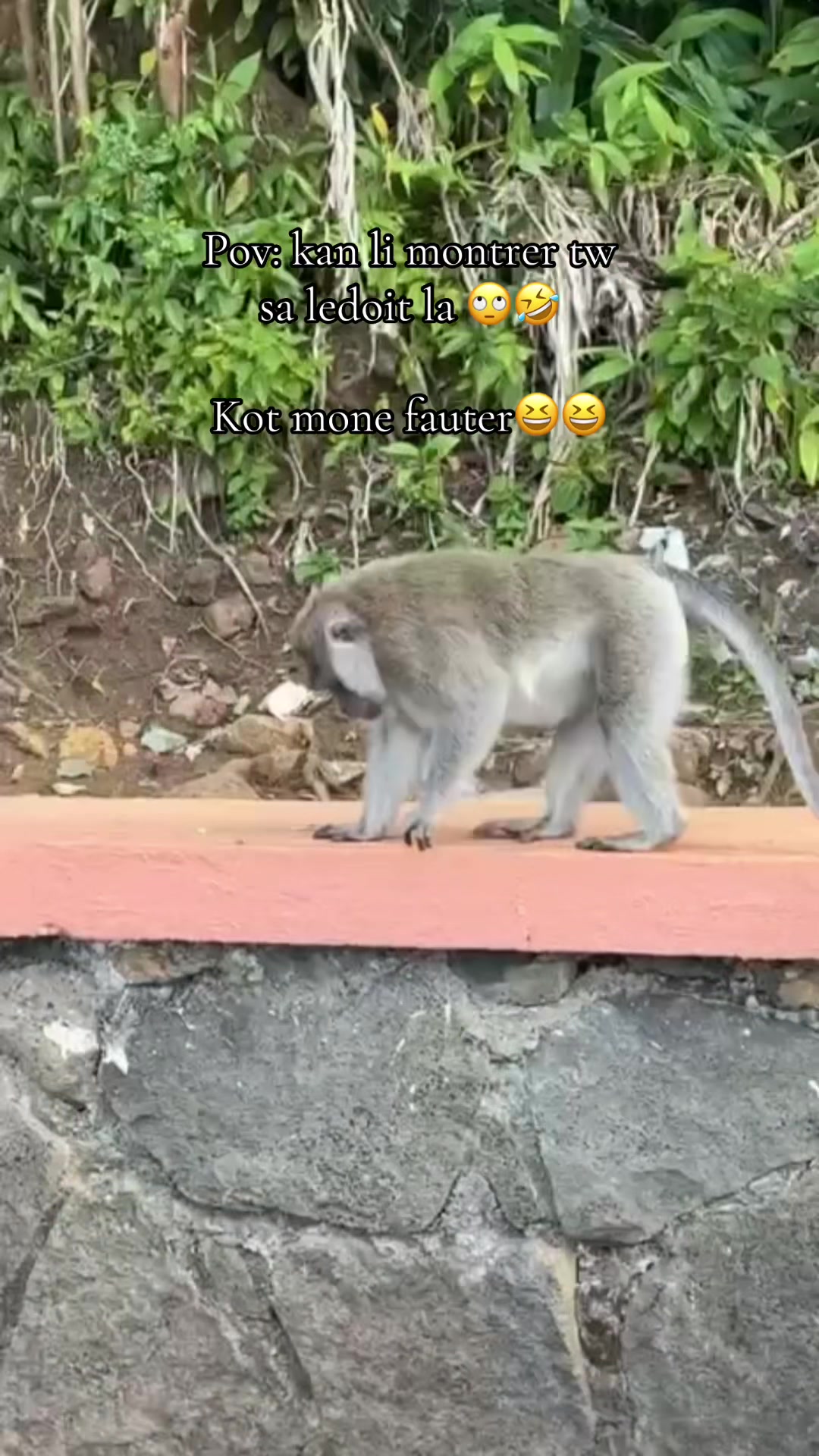 @Shreeya❤️