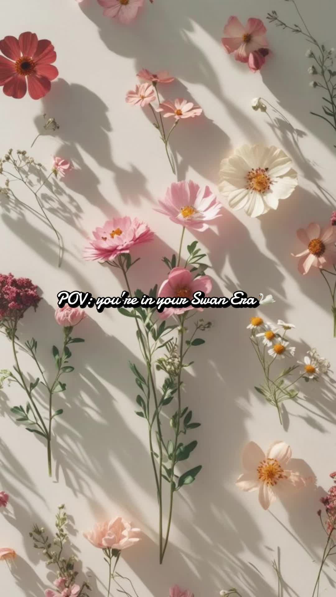 @AB&D