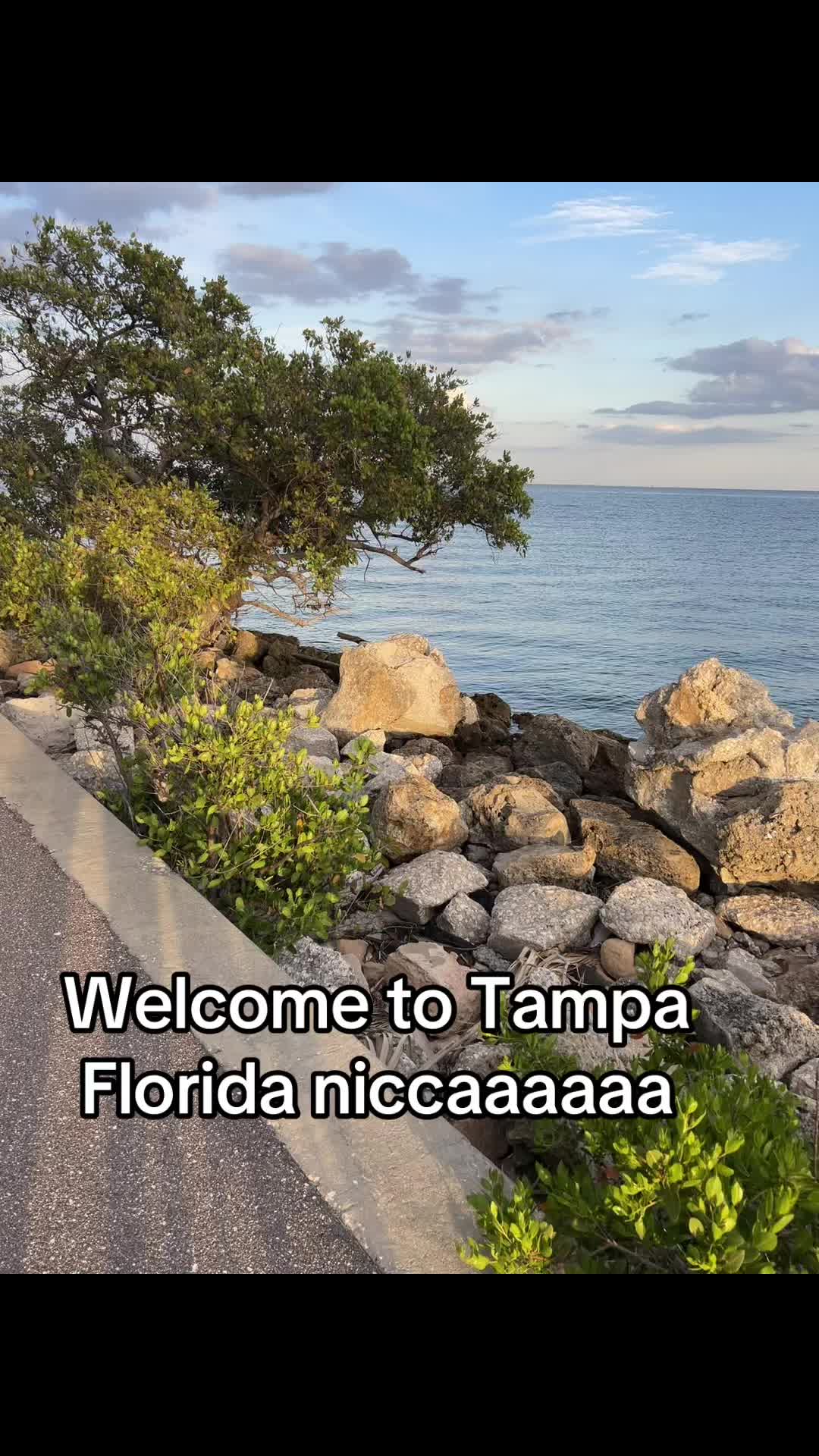 @TB Dude  813 🌴