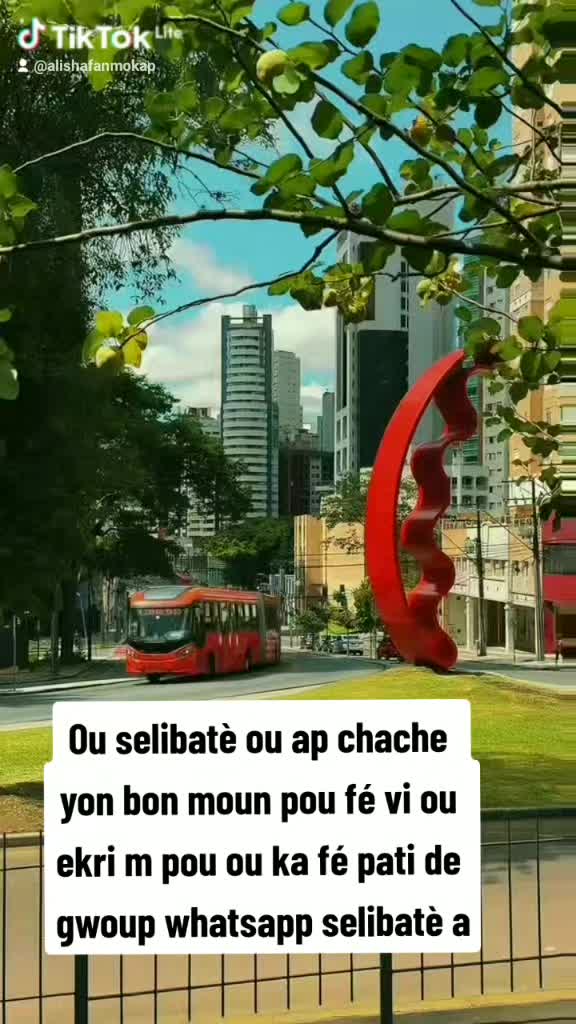 @alishafanmokap 🇭🇹🇧🇷🇭🇹🖤