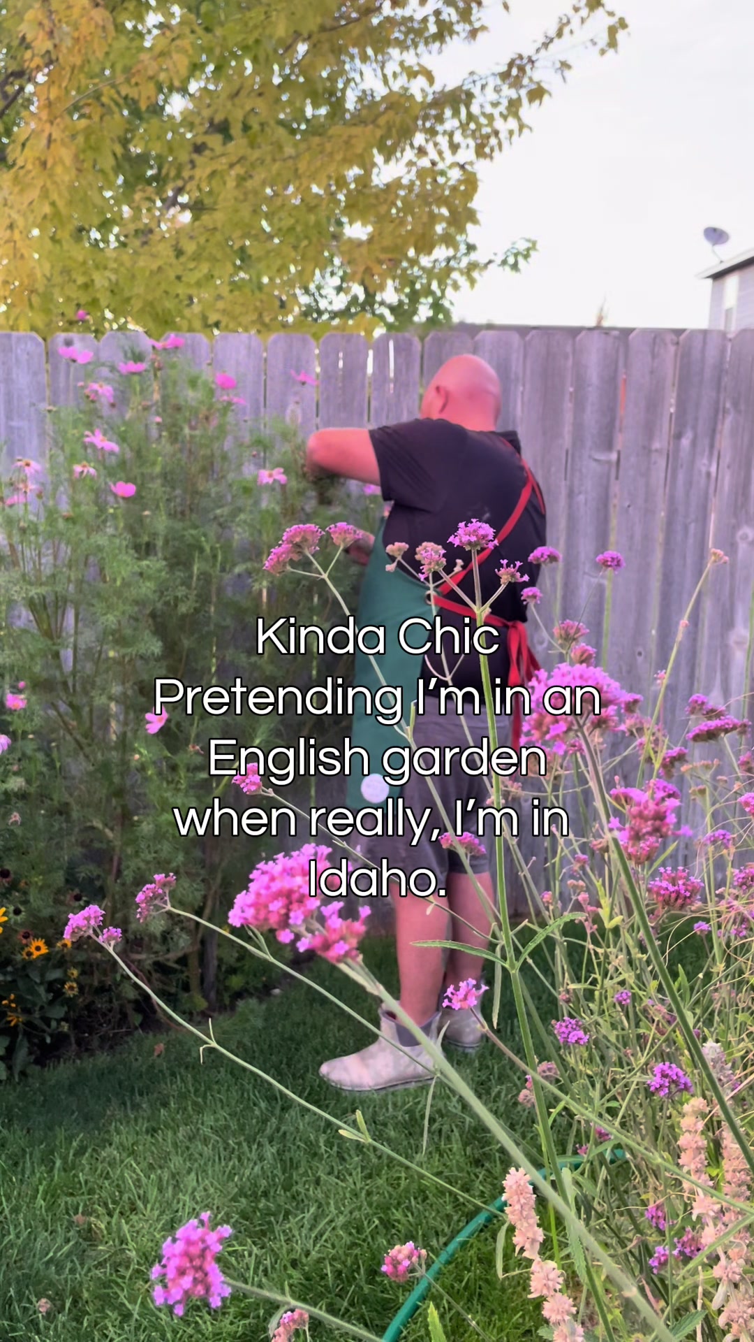 @backyardBeeg