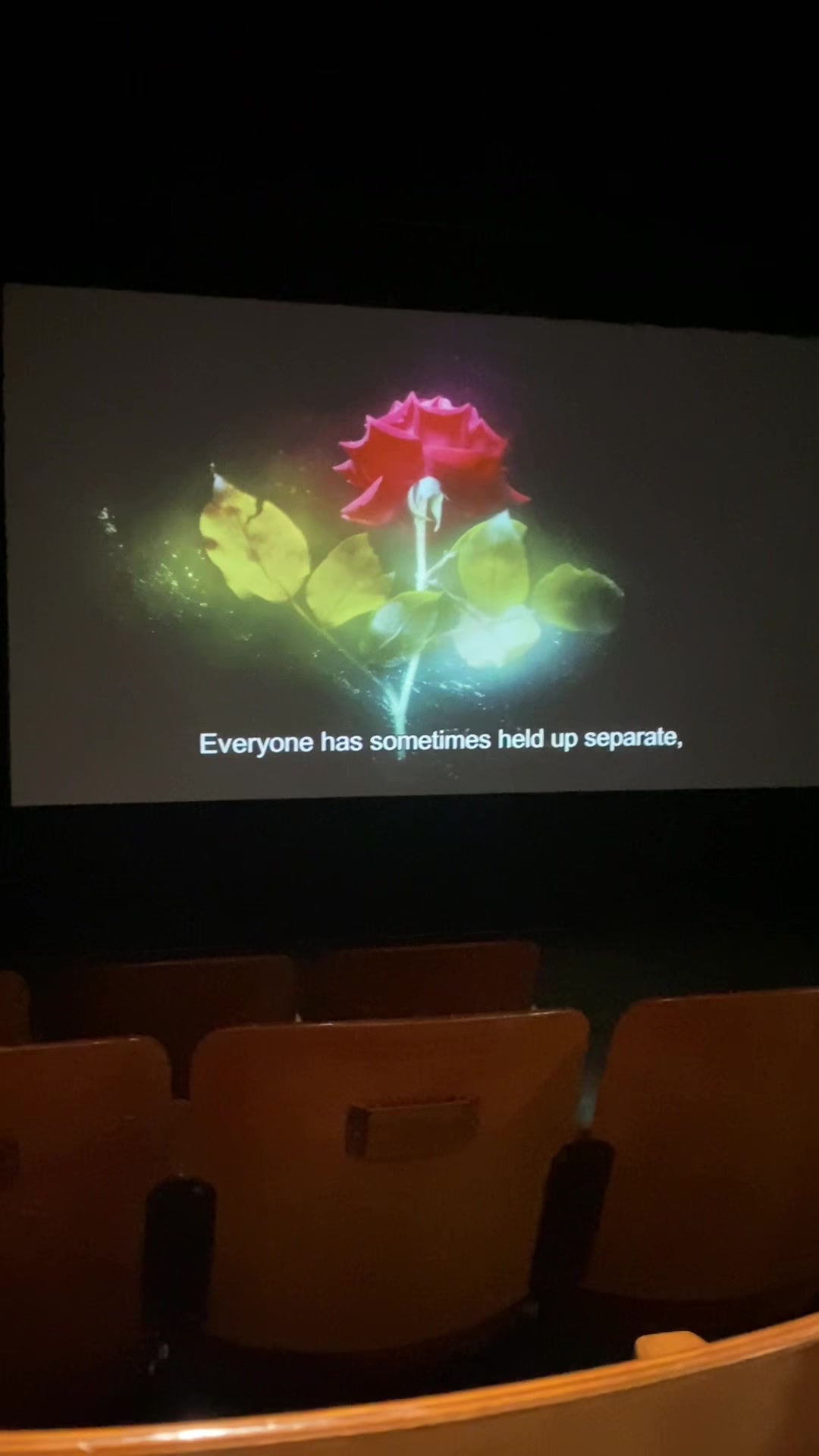 @moonlight