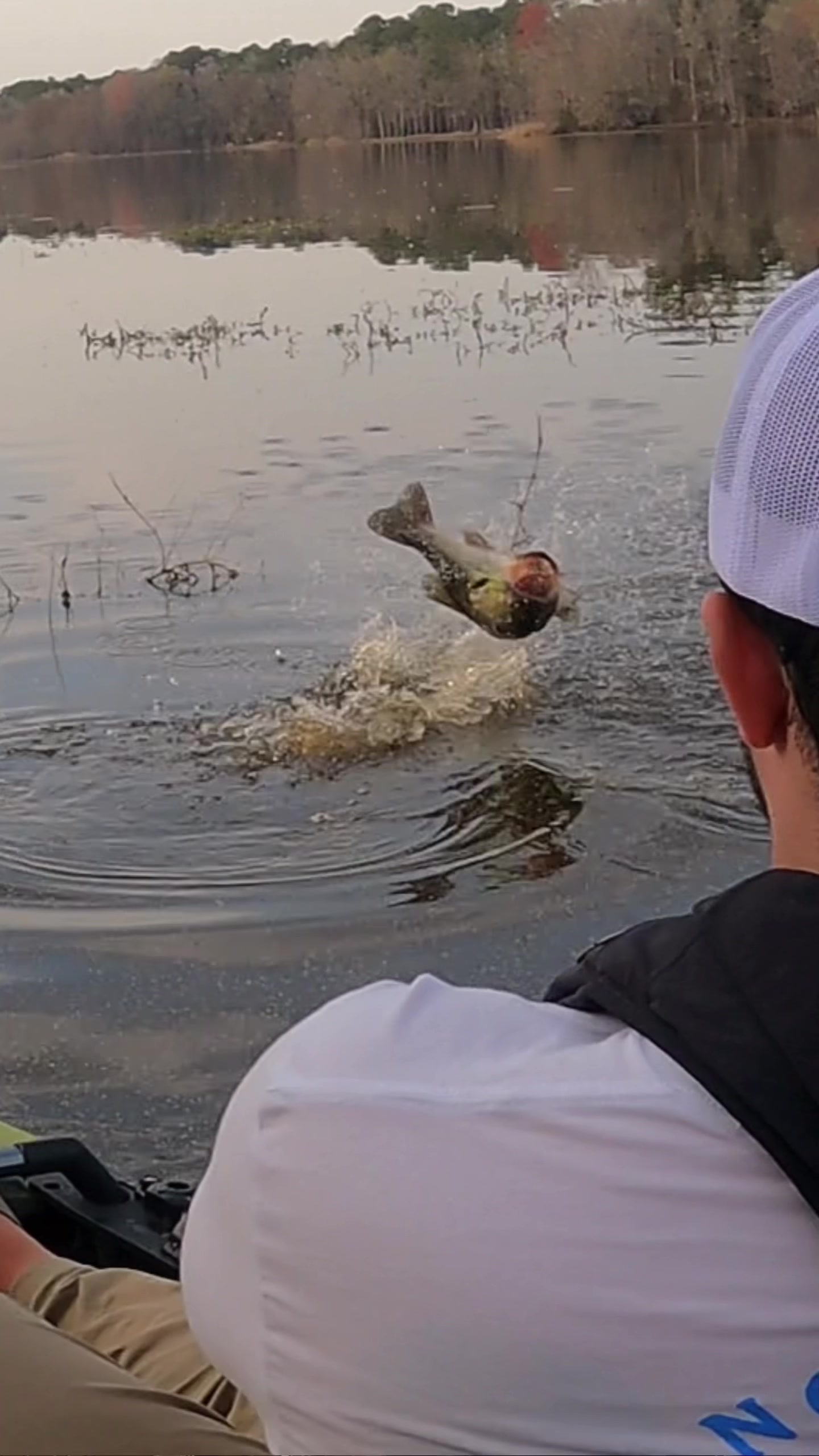 @SERIOUSANGLER
