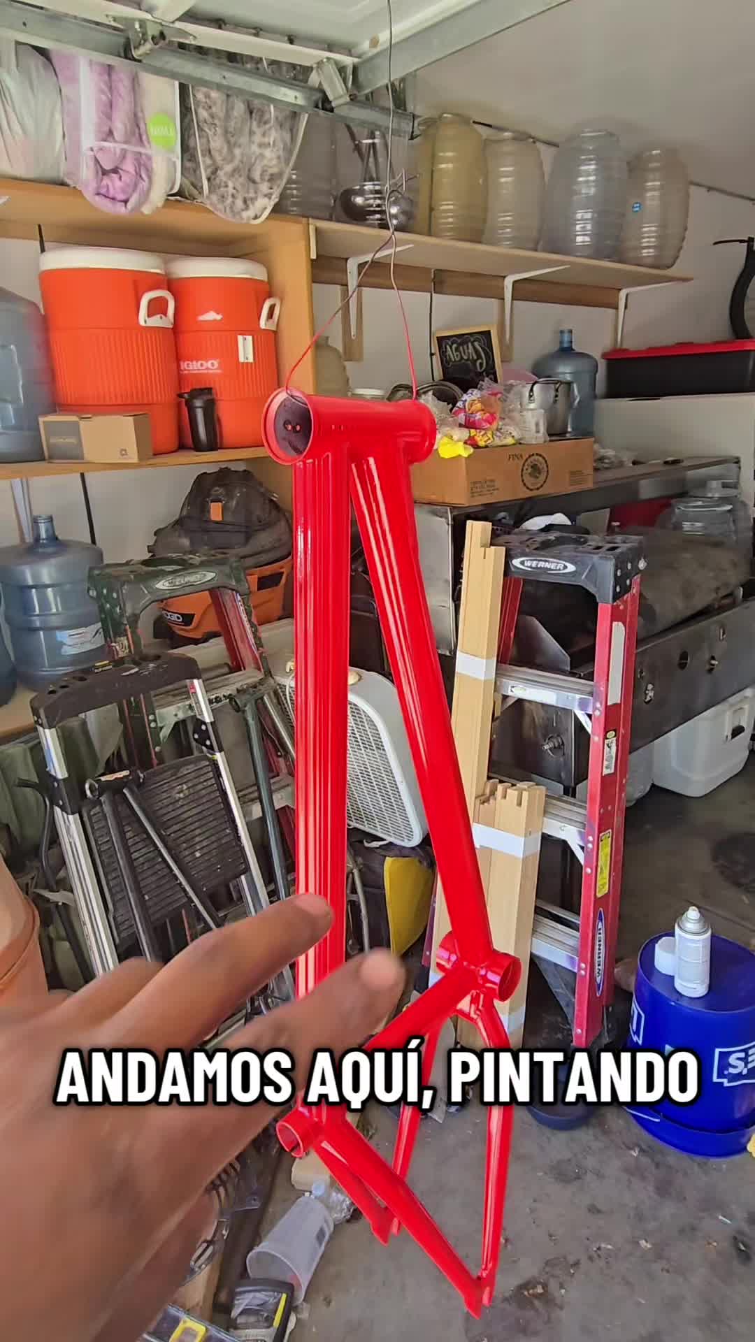 @209 BMX