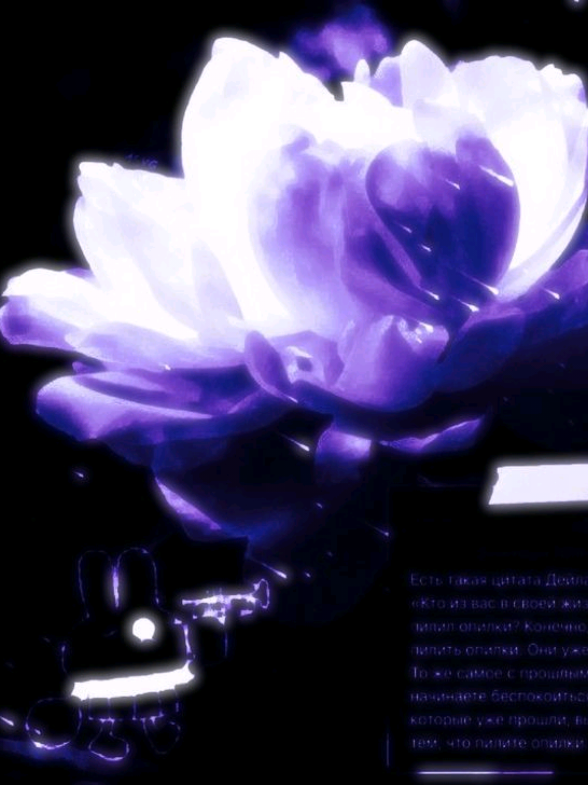 @๐ฝ๐๐๐ ๐ป๐๐๐๐