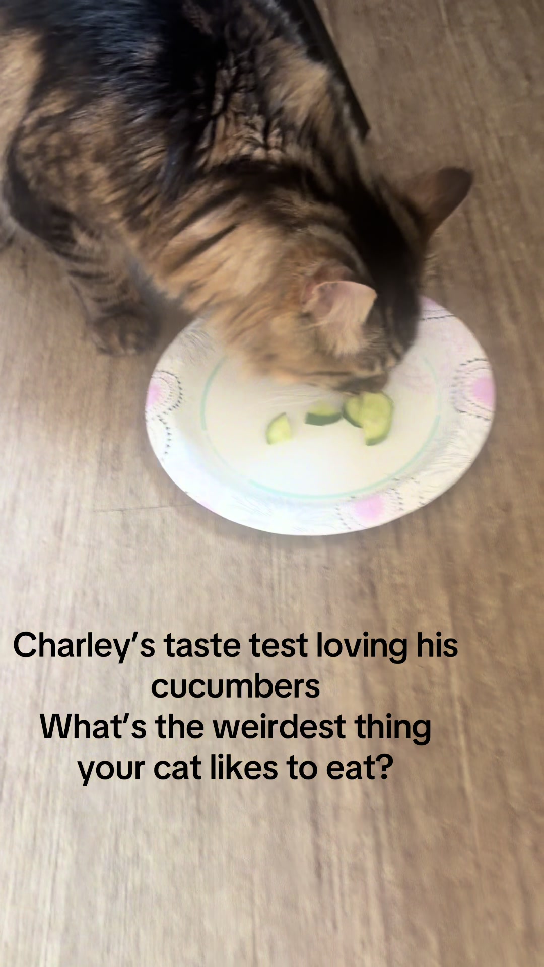 @Charley