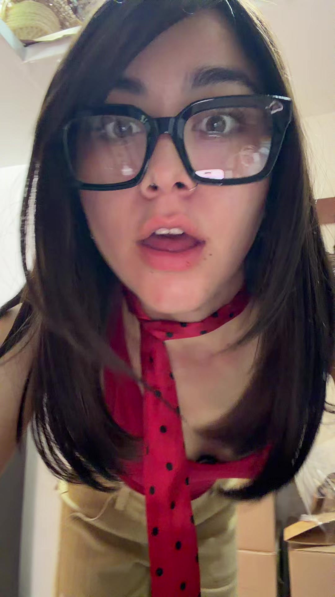 @alecaz28