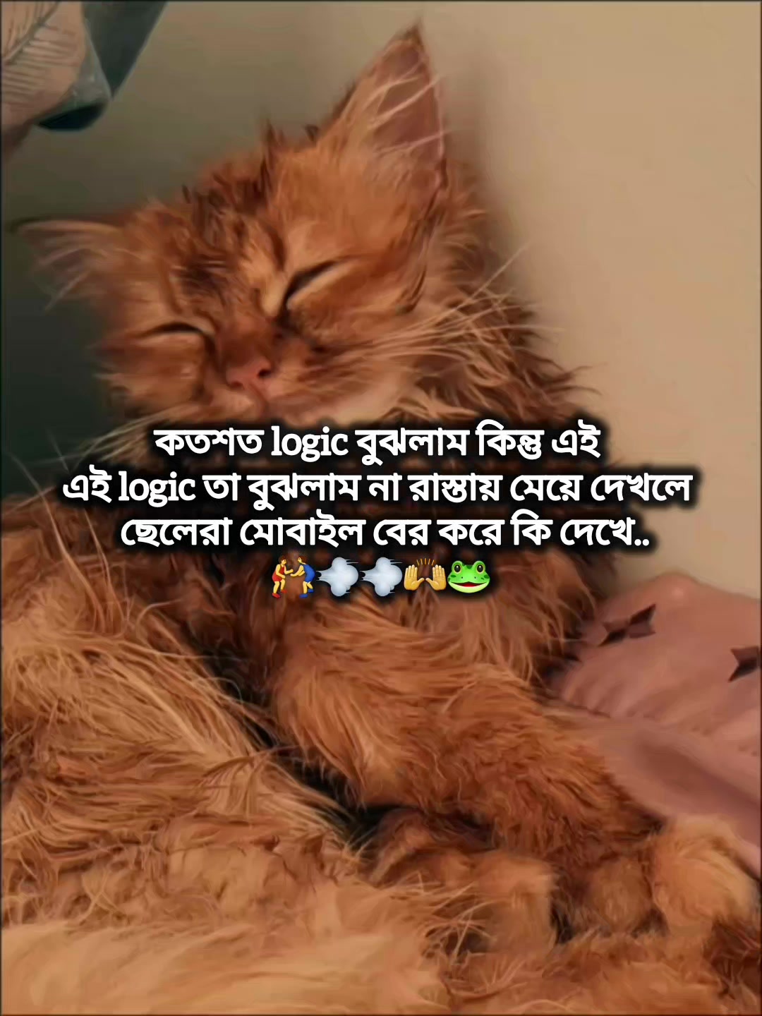 @Mᴀʀᴜғ Bɪʟʟᴀʜ 🌱