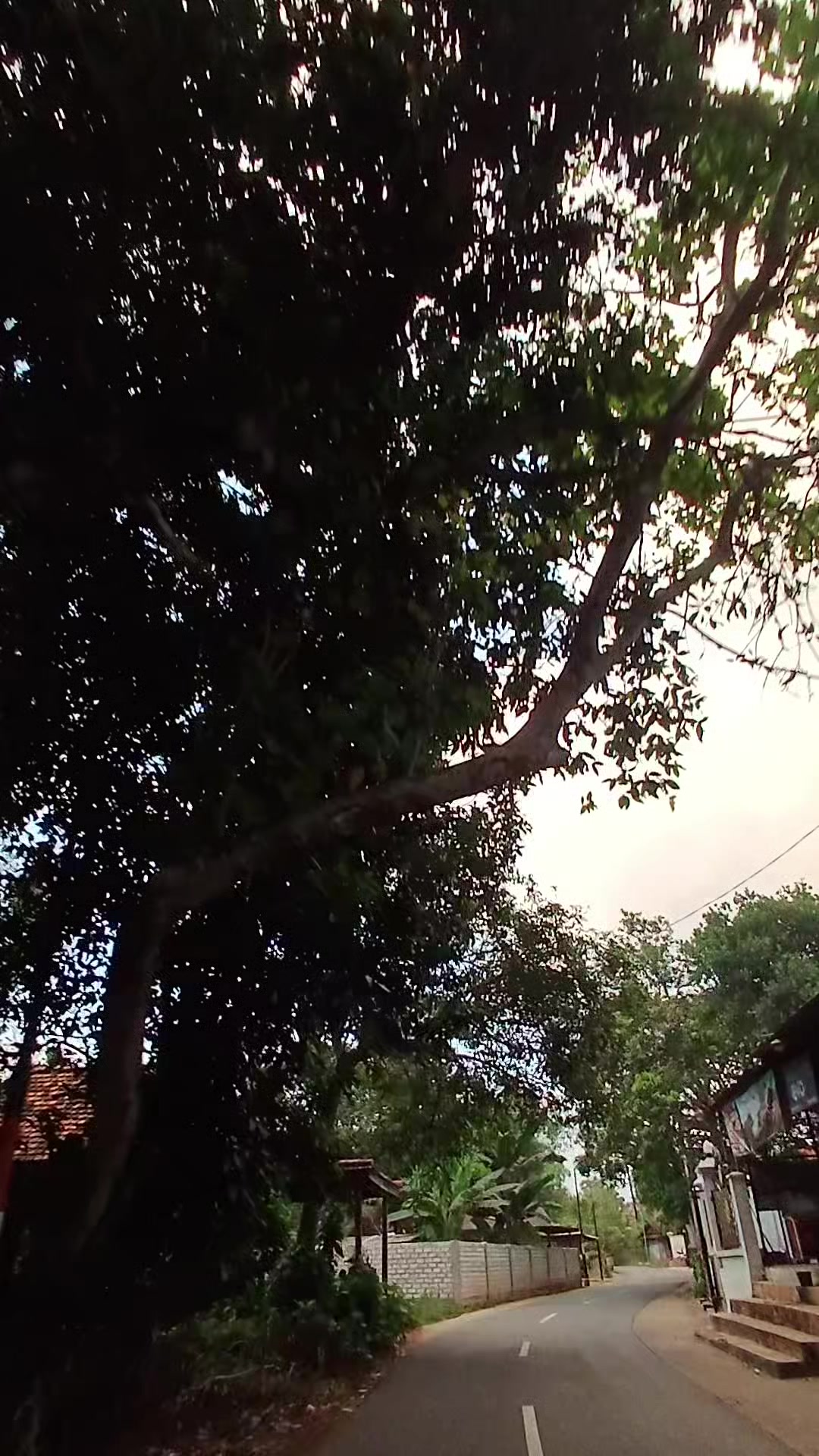 @masady57