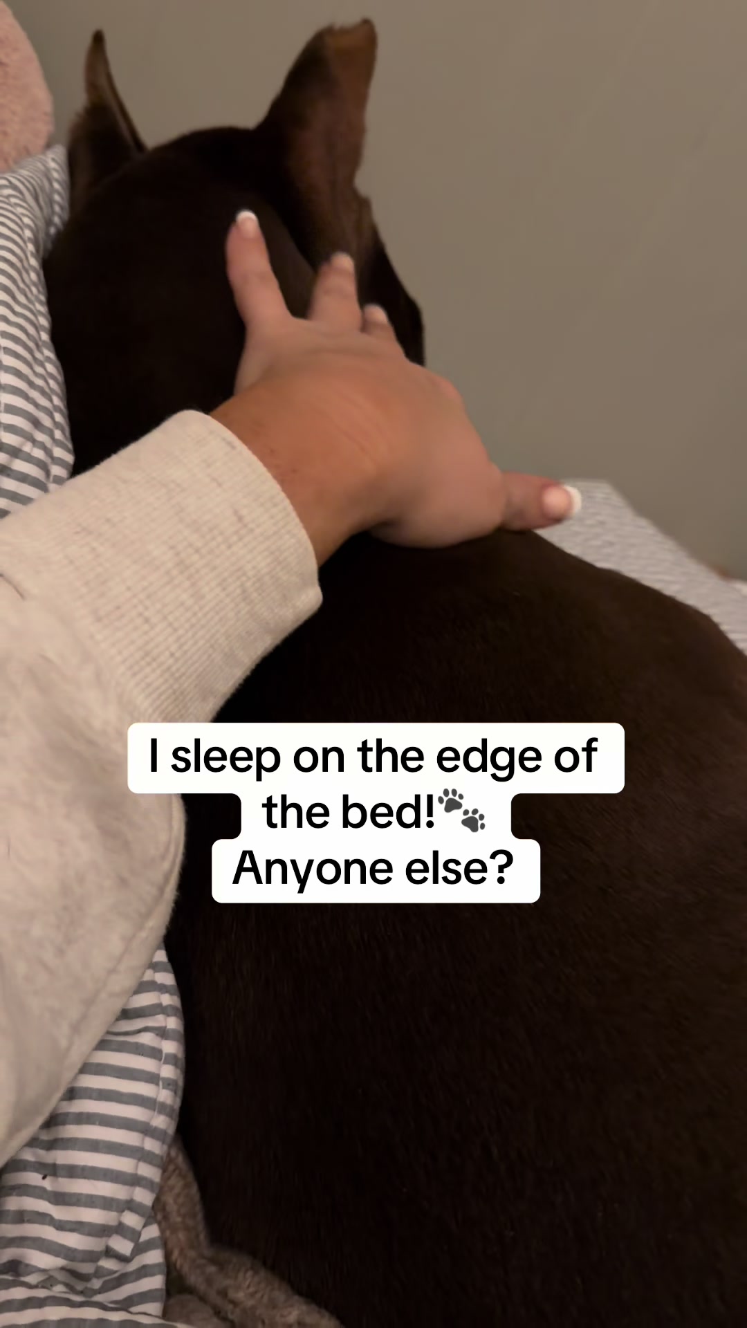 @Jo Ellison
