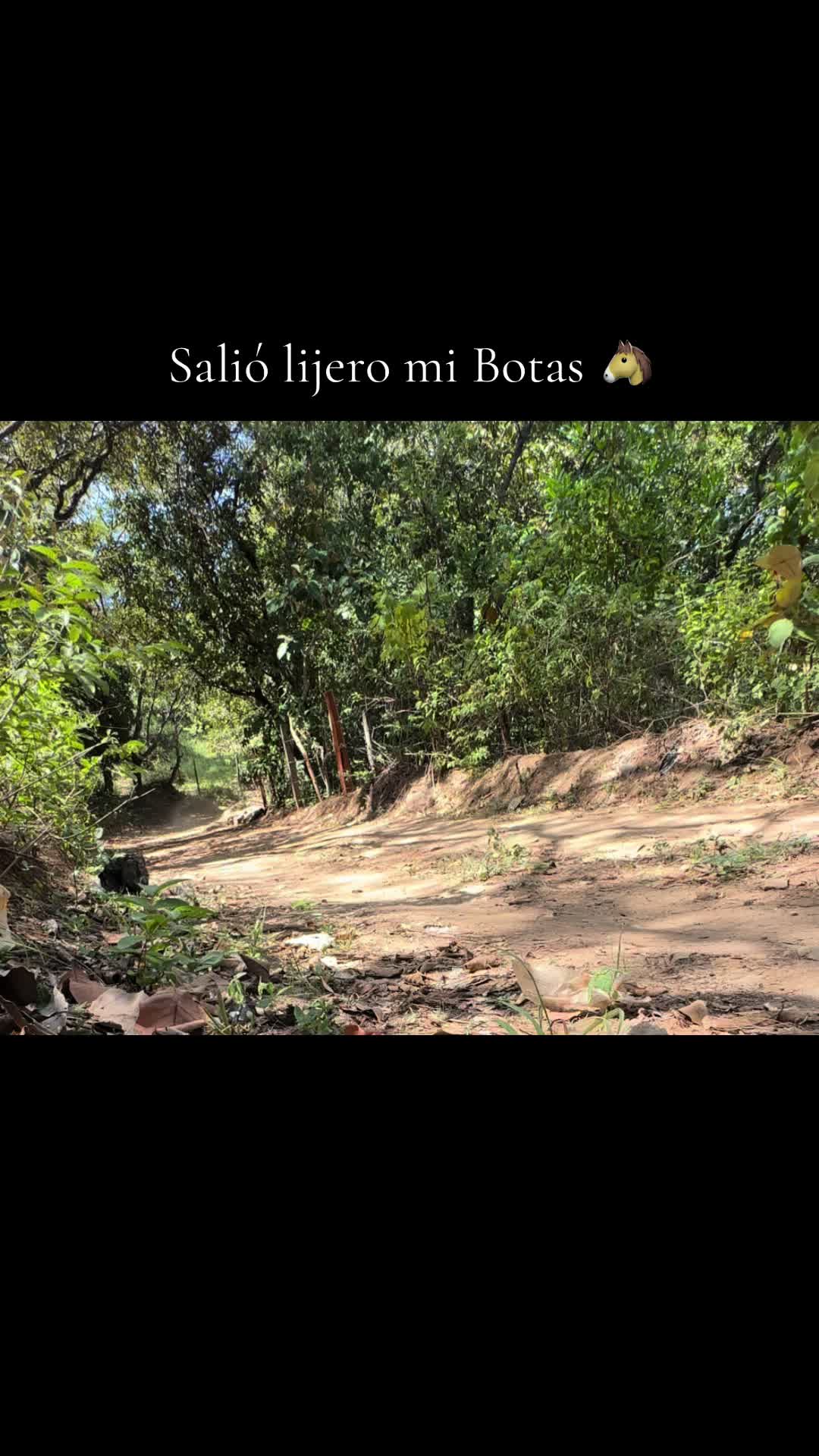 @Rony Zavala