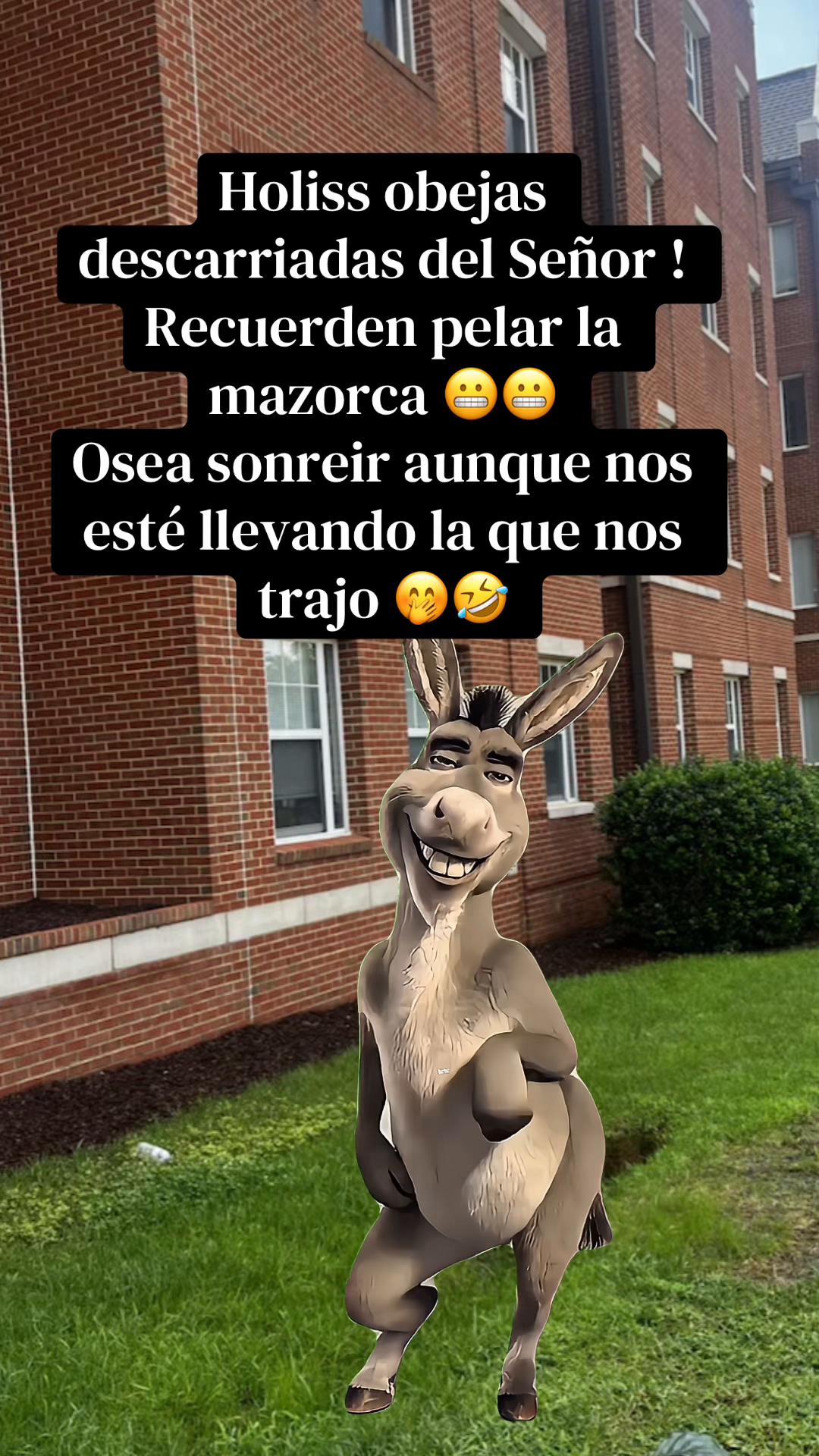 @maripili