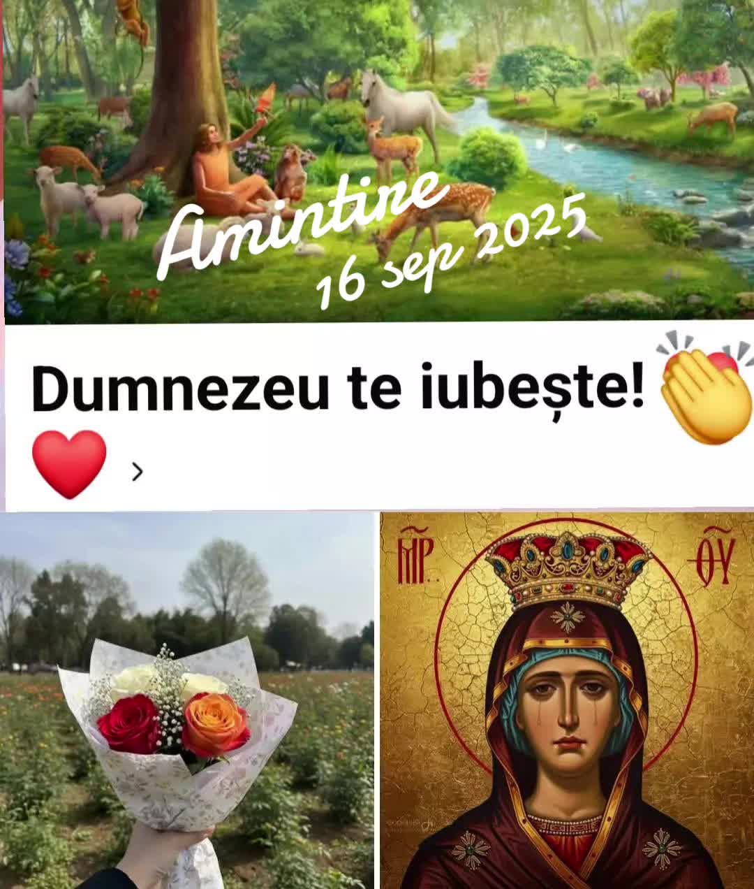@Iulia