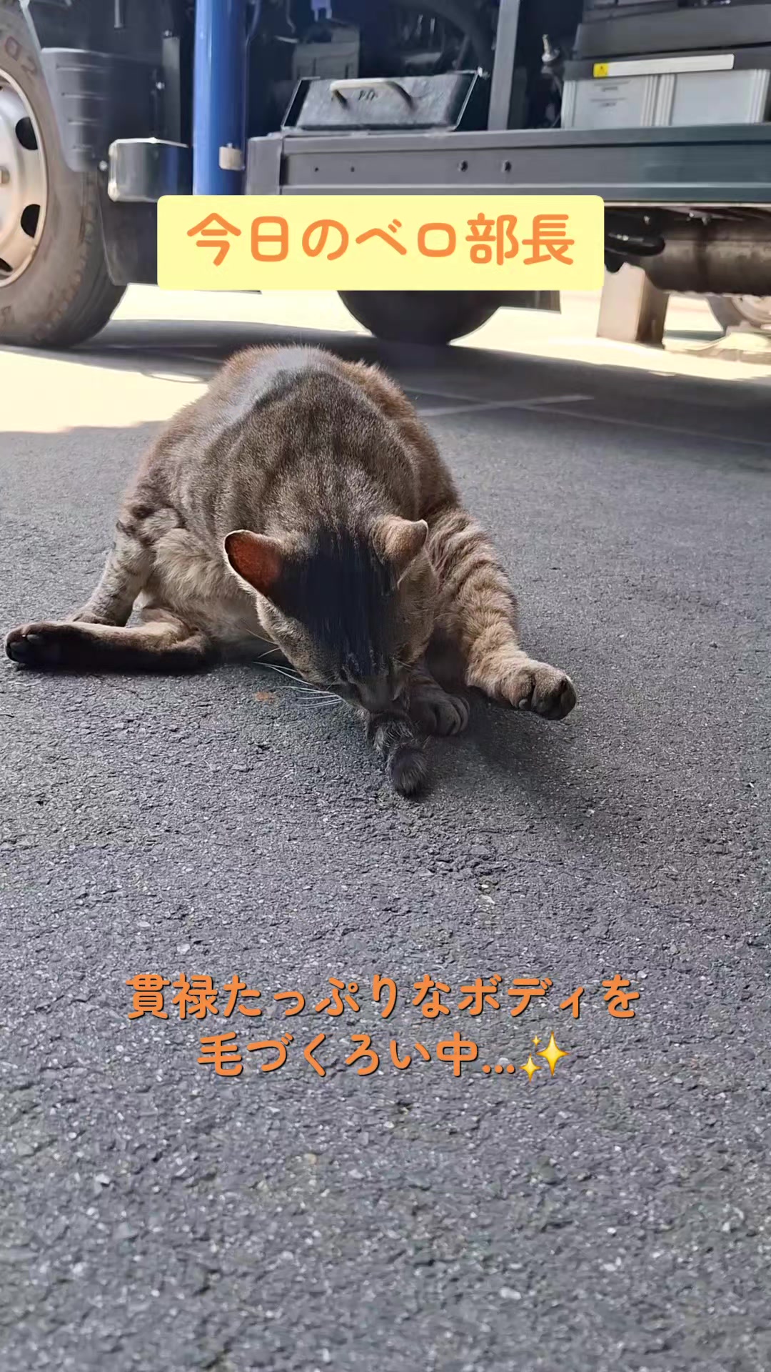 @【公式】株式会社真宮|三重