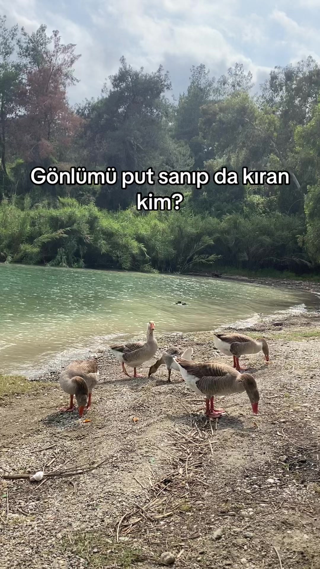 @Hatice Gültepe