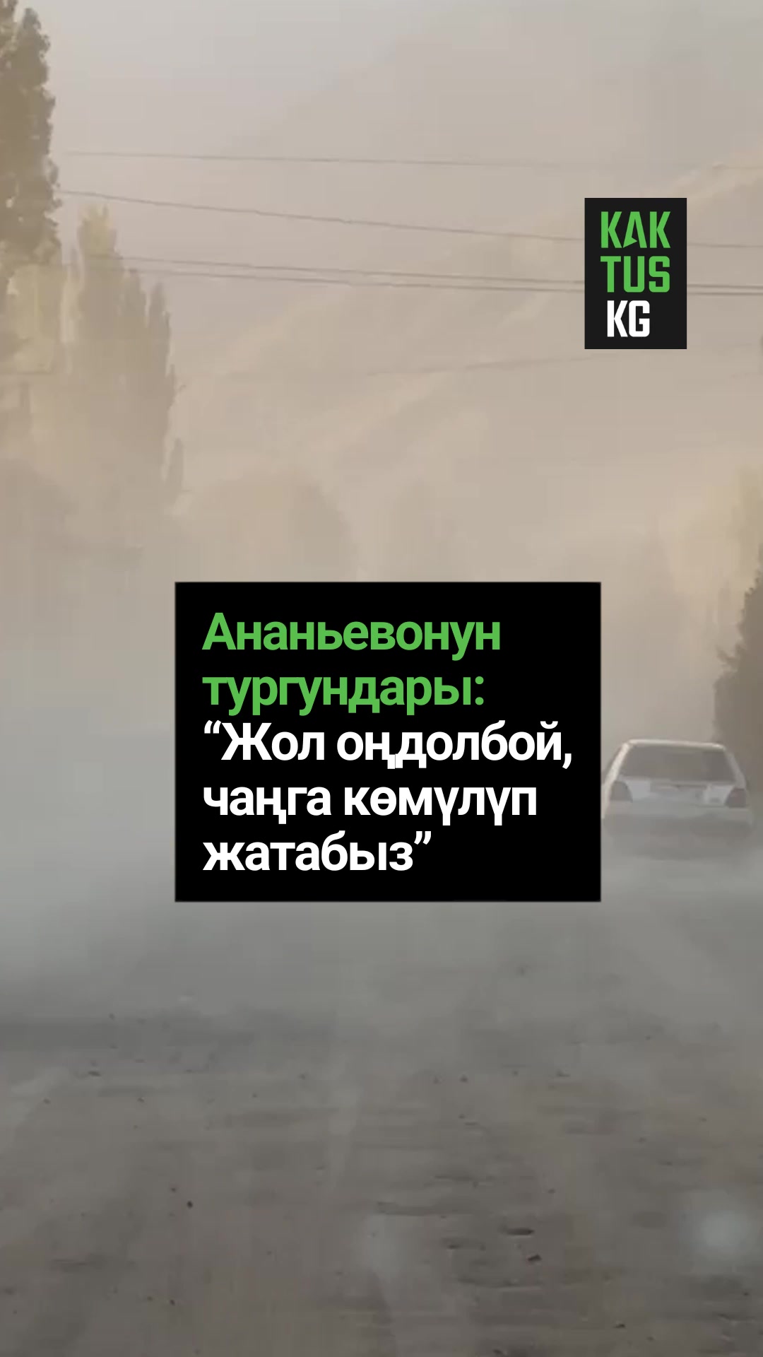 @Kaktus KG