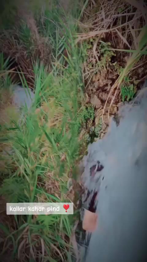 @Malik Ayan