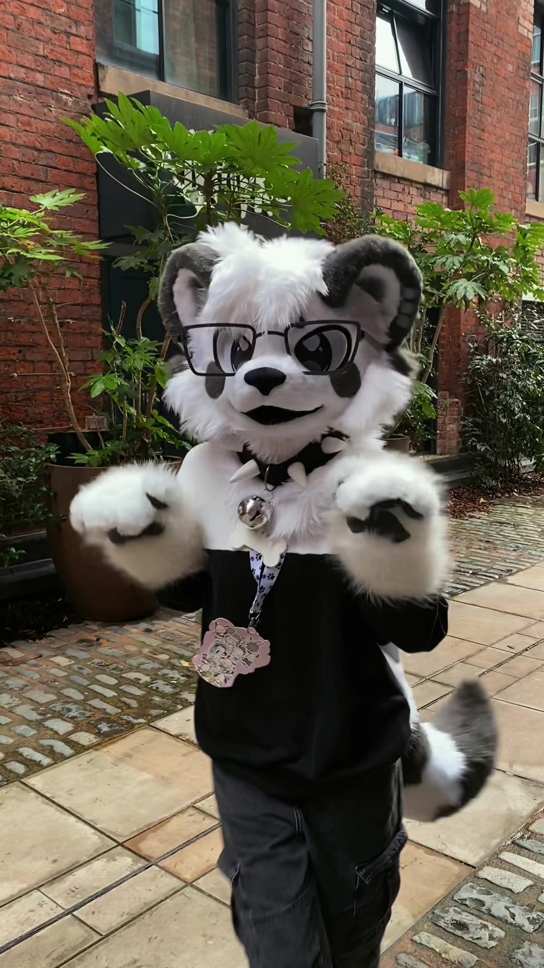 @🎬Lykoi🐾