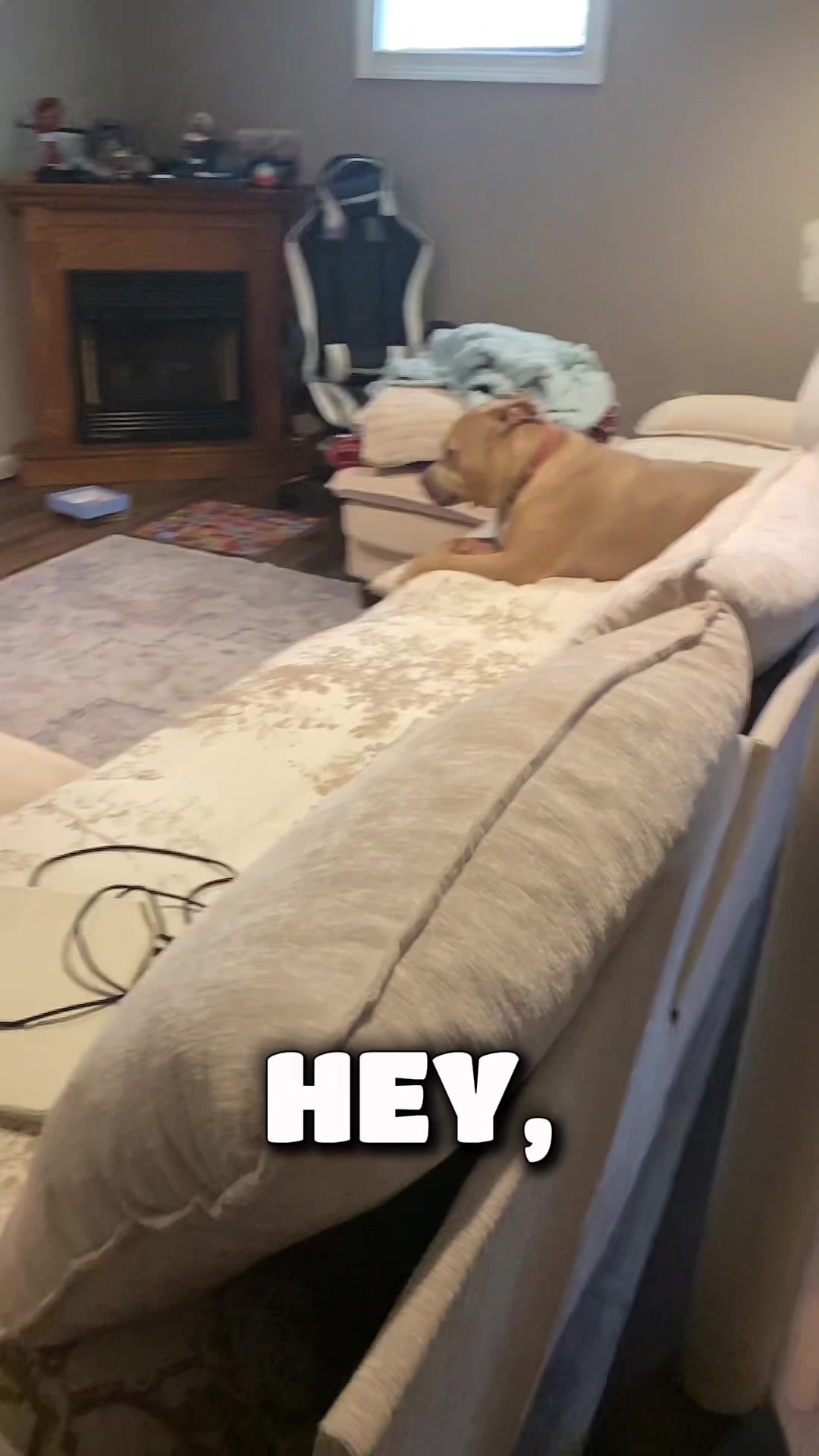 @Heather & Rocky 🐾💕