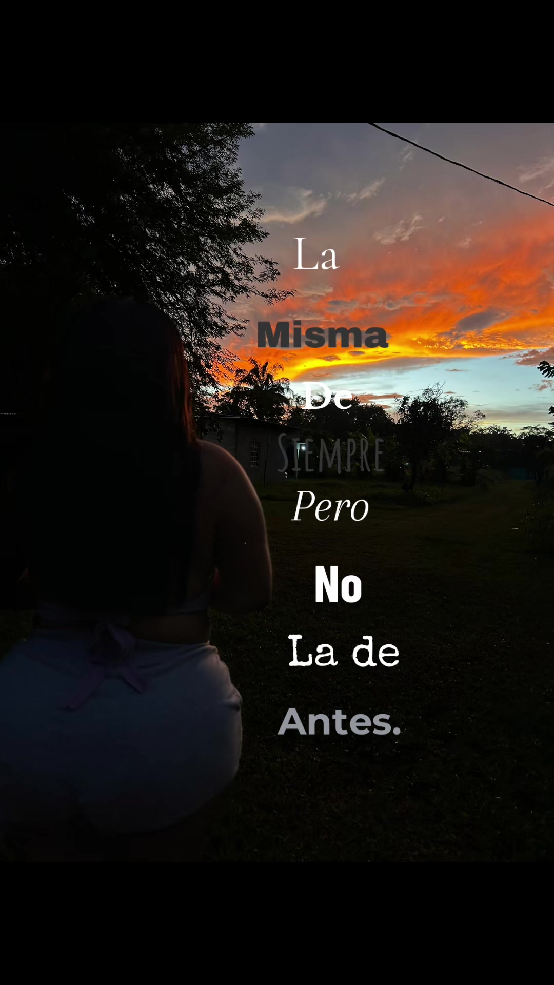 @mayi_ml7