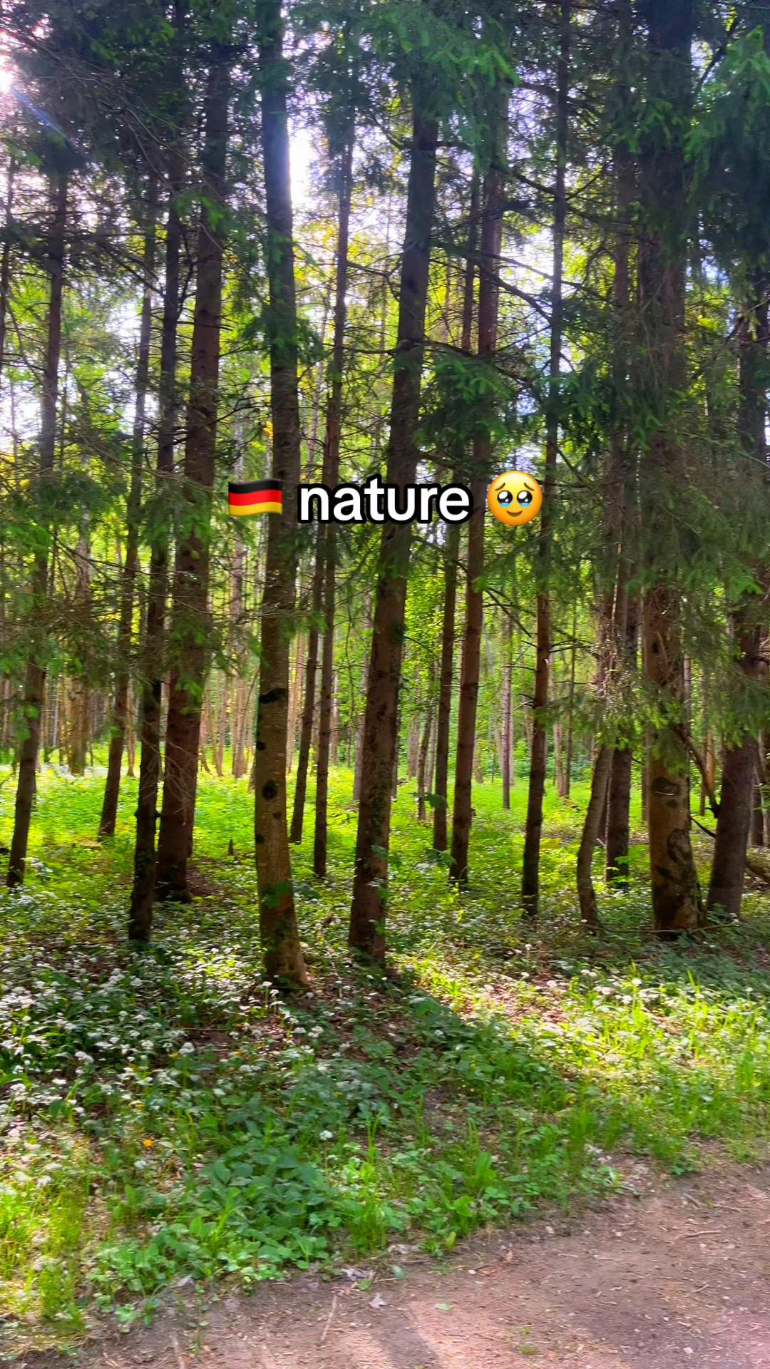 @Finni