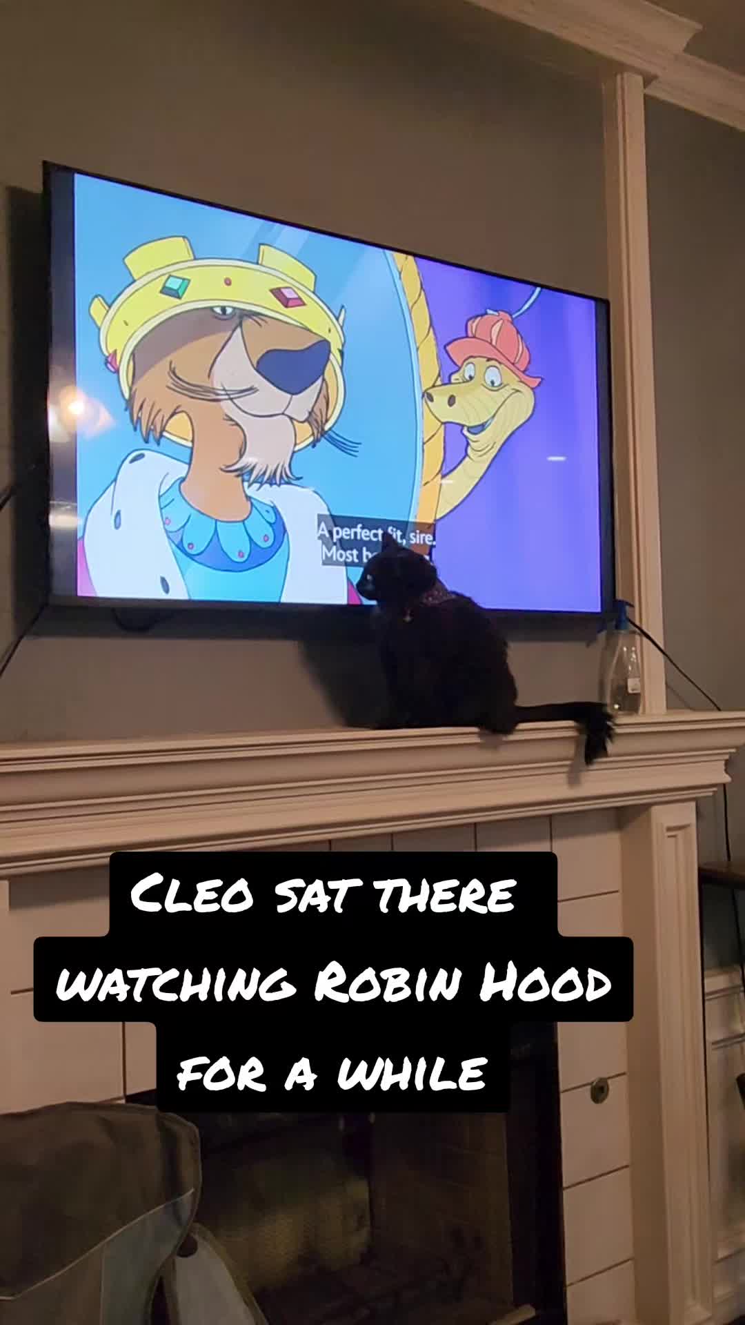 @crazycatcrew