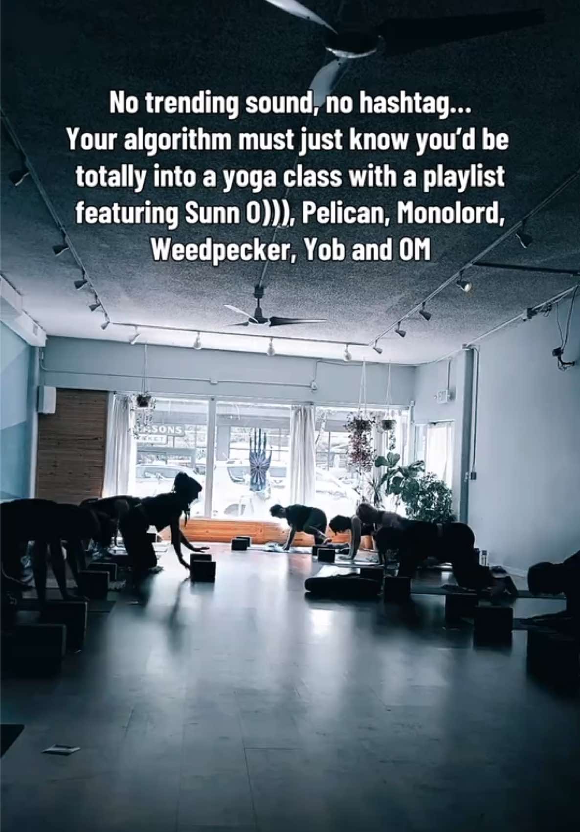 @April Fox - Yoga Kinda Rocks