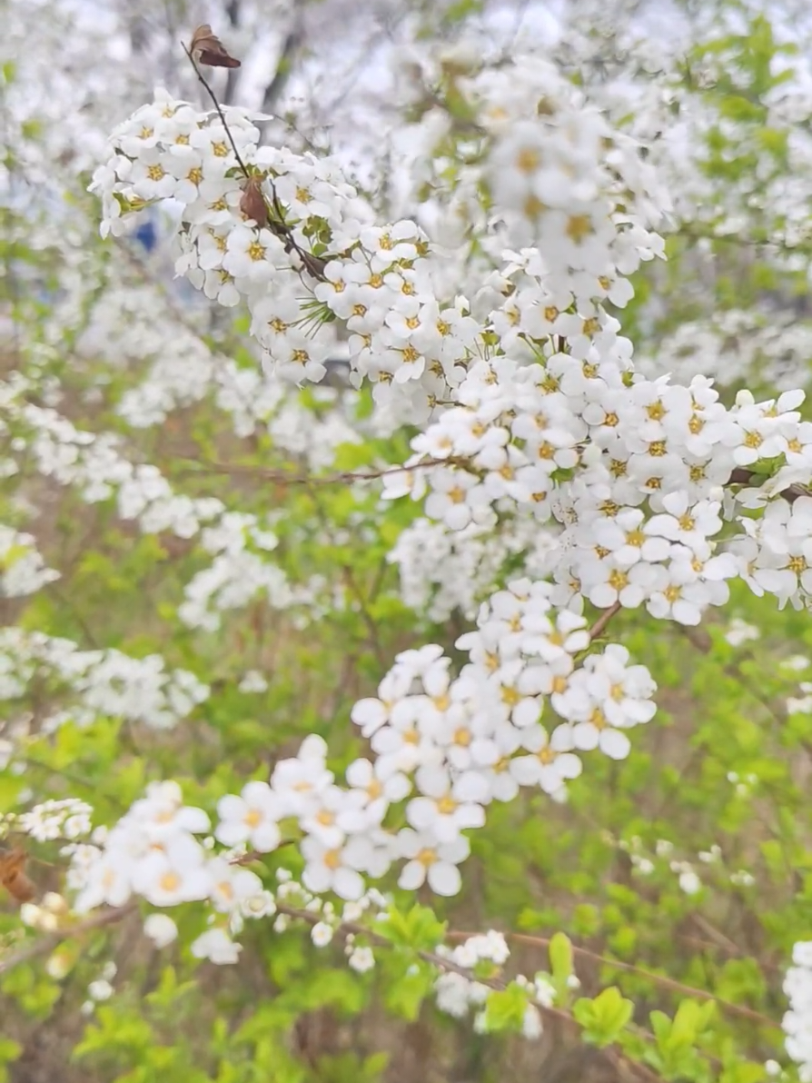 @순순