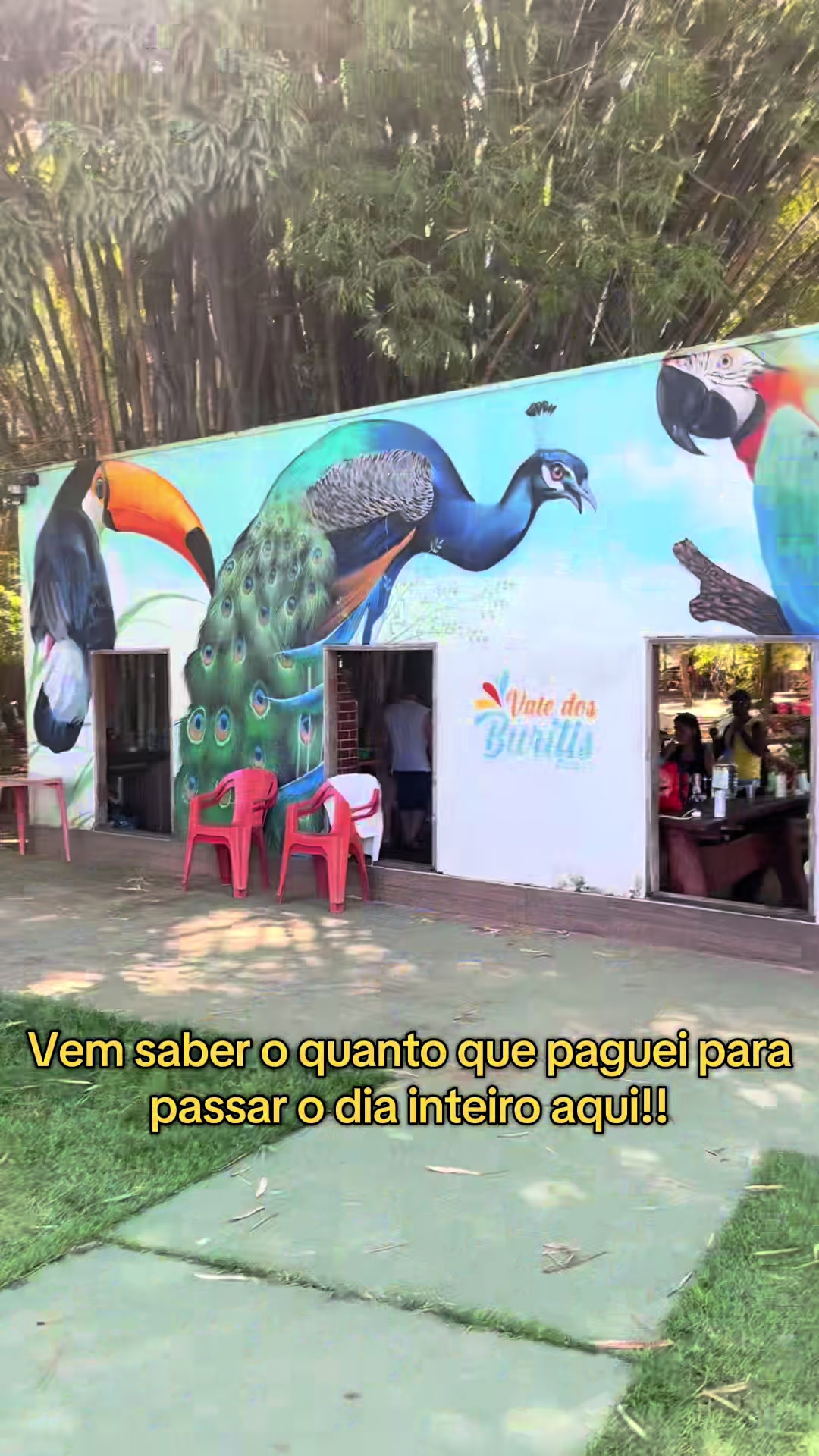 @Taís Souza