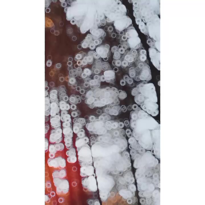 @♕ وینس ♕