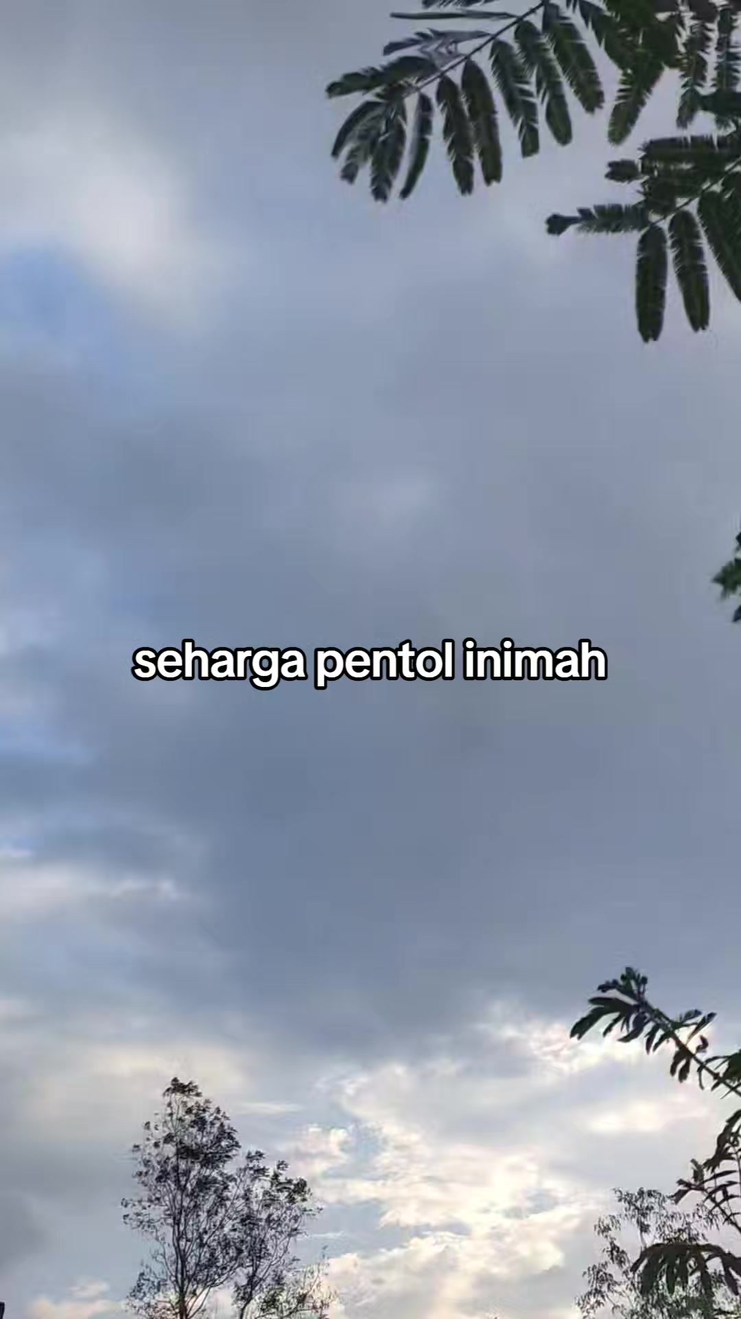 @pemulashopp