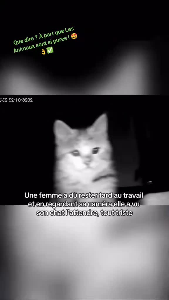 @TAARTY