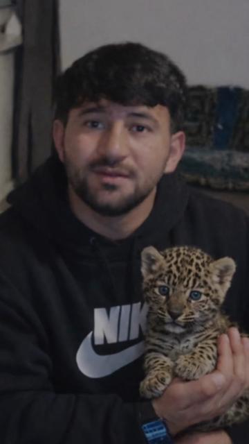 @Ramin kohestani🦅🦁