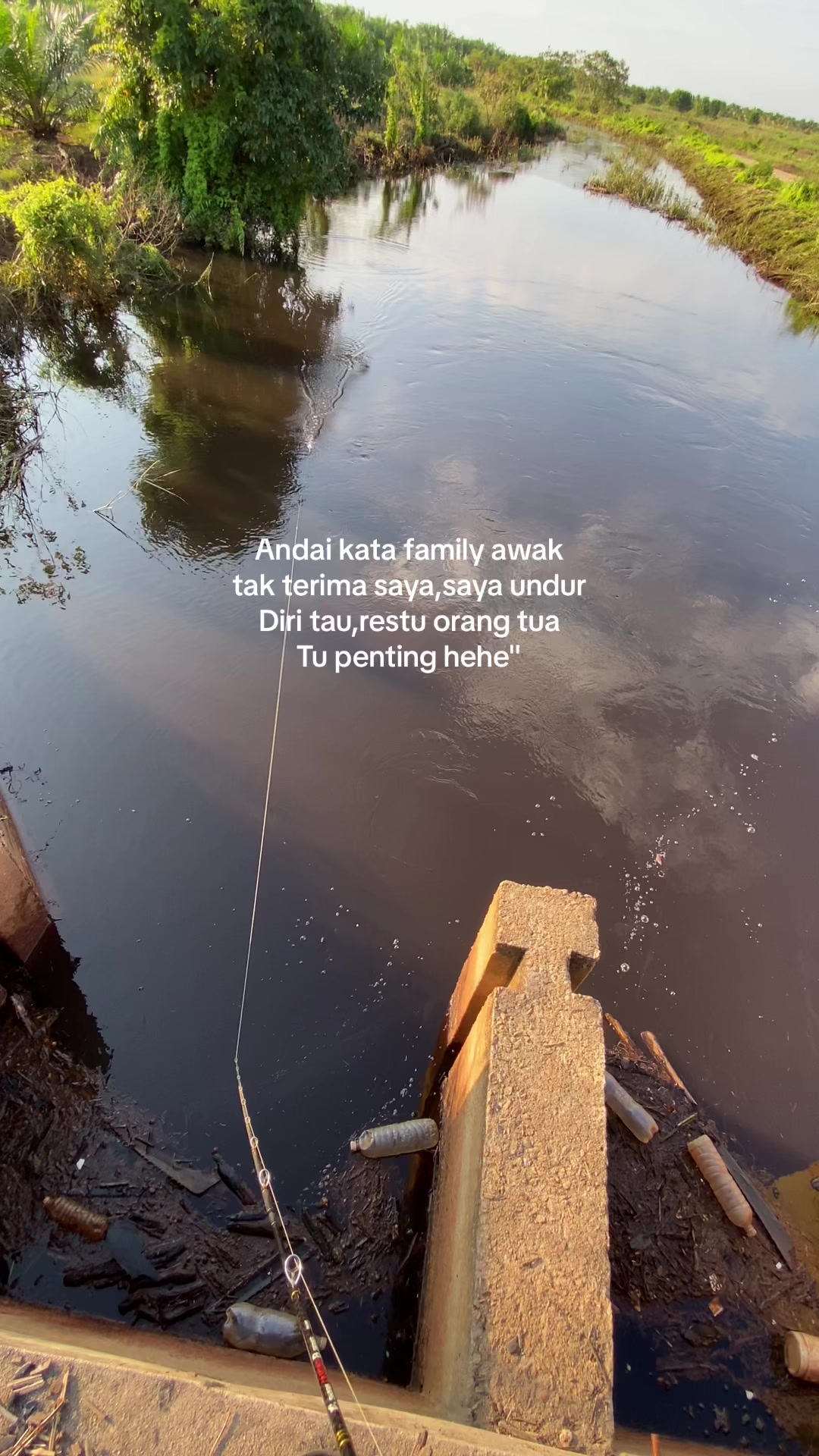@AYIEN📉