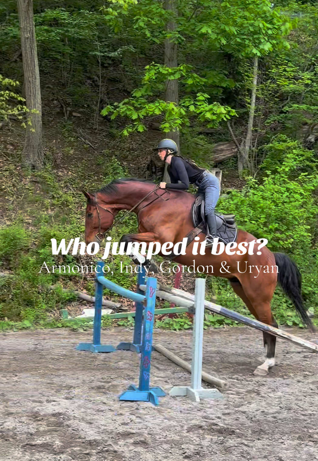 @Lunar Hill Equestrian