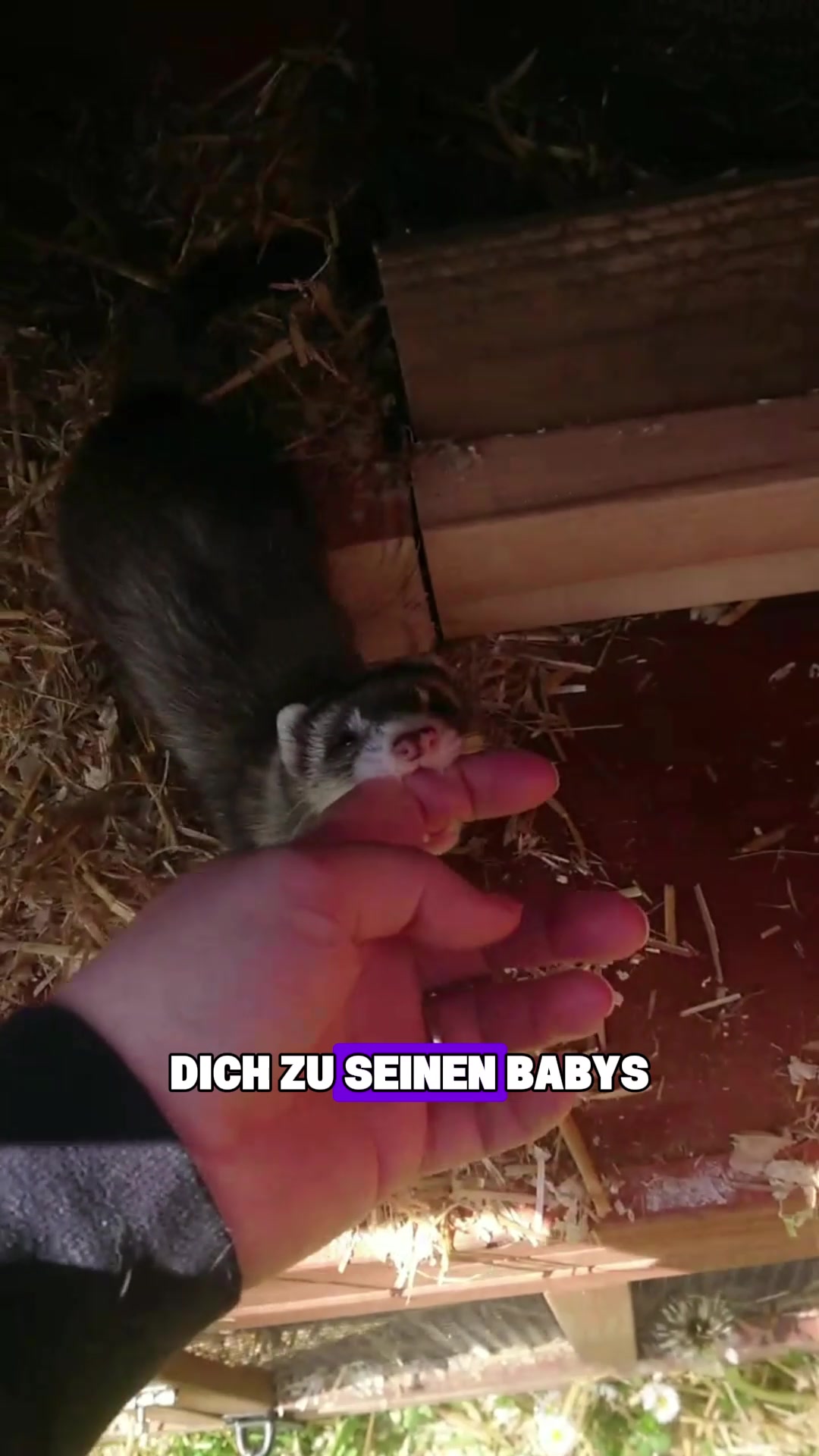 @Tierheim