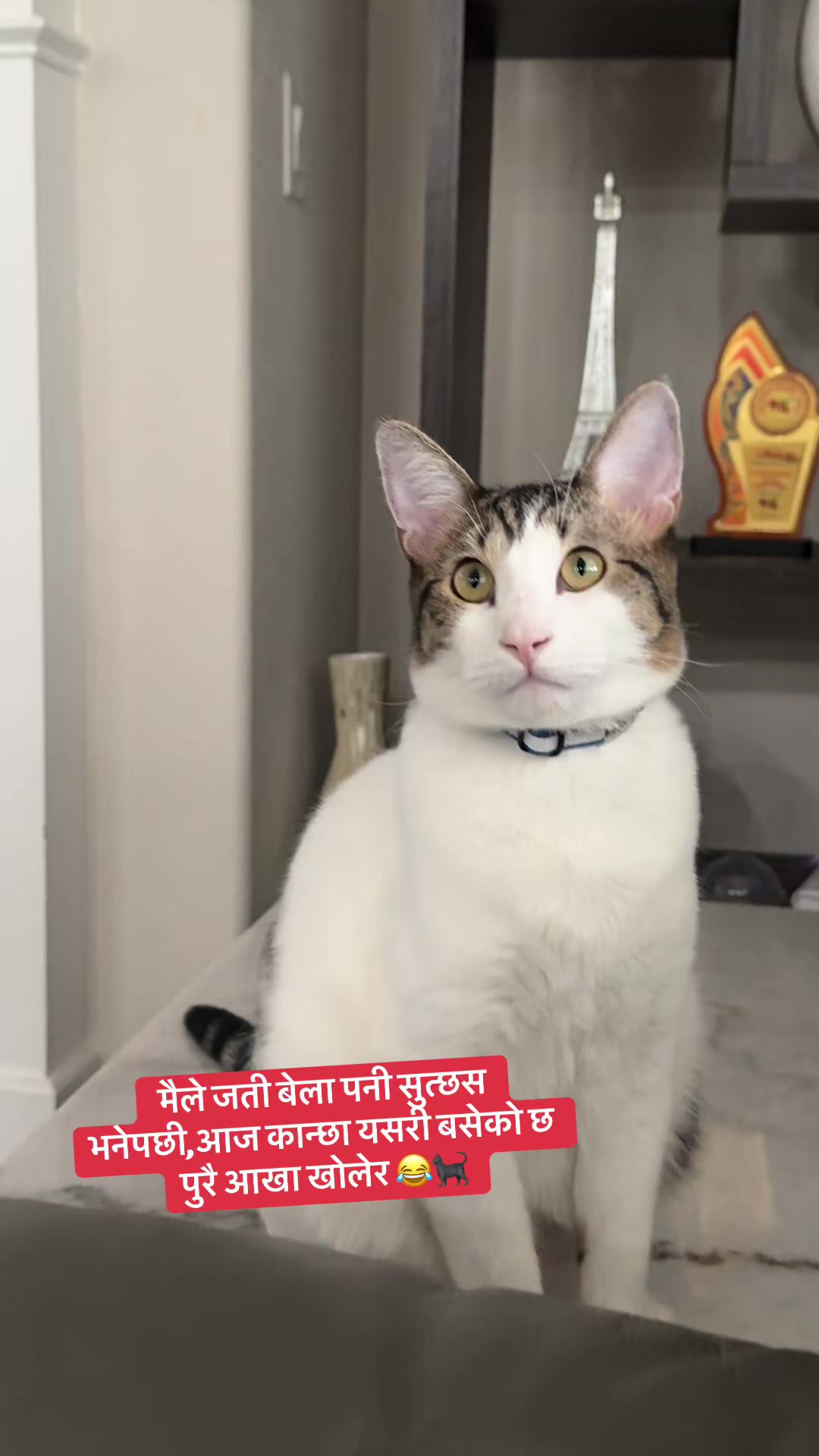 @Pratibha