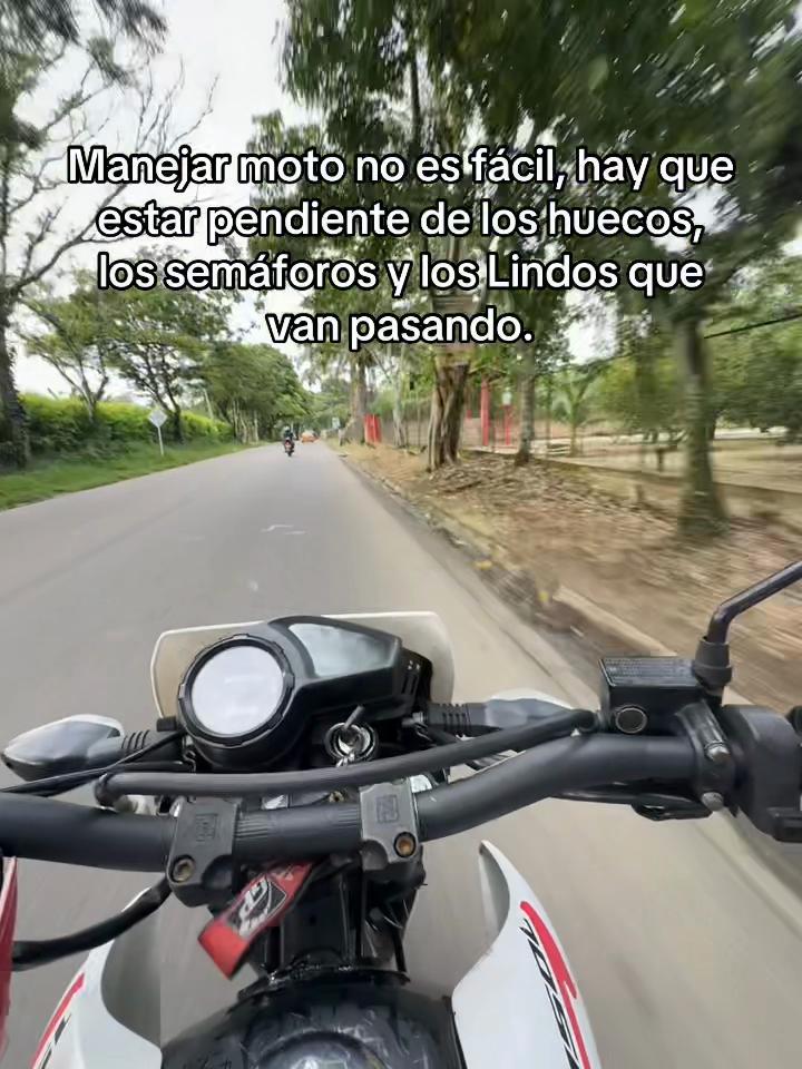 @lina_1983