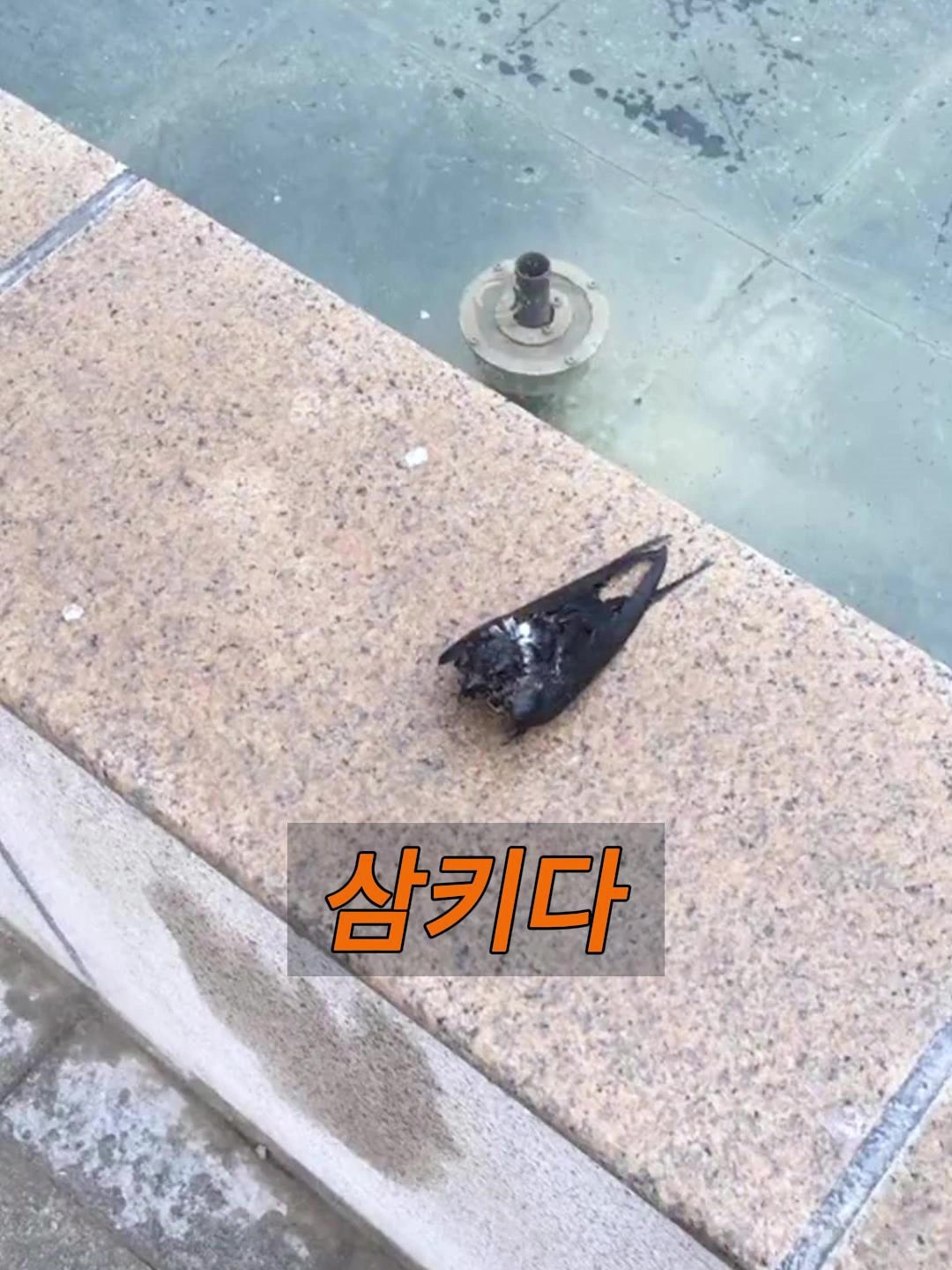 @삼촌Cut2025