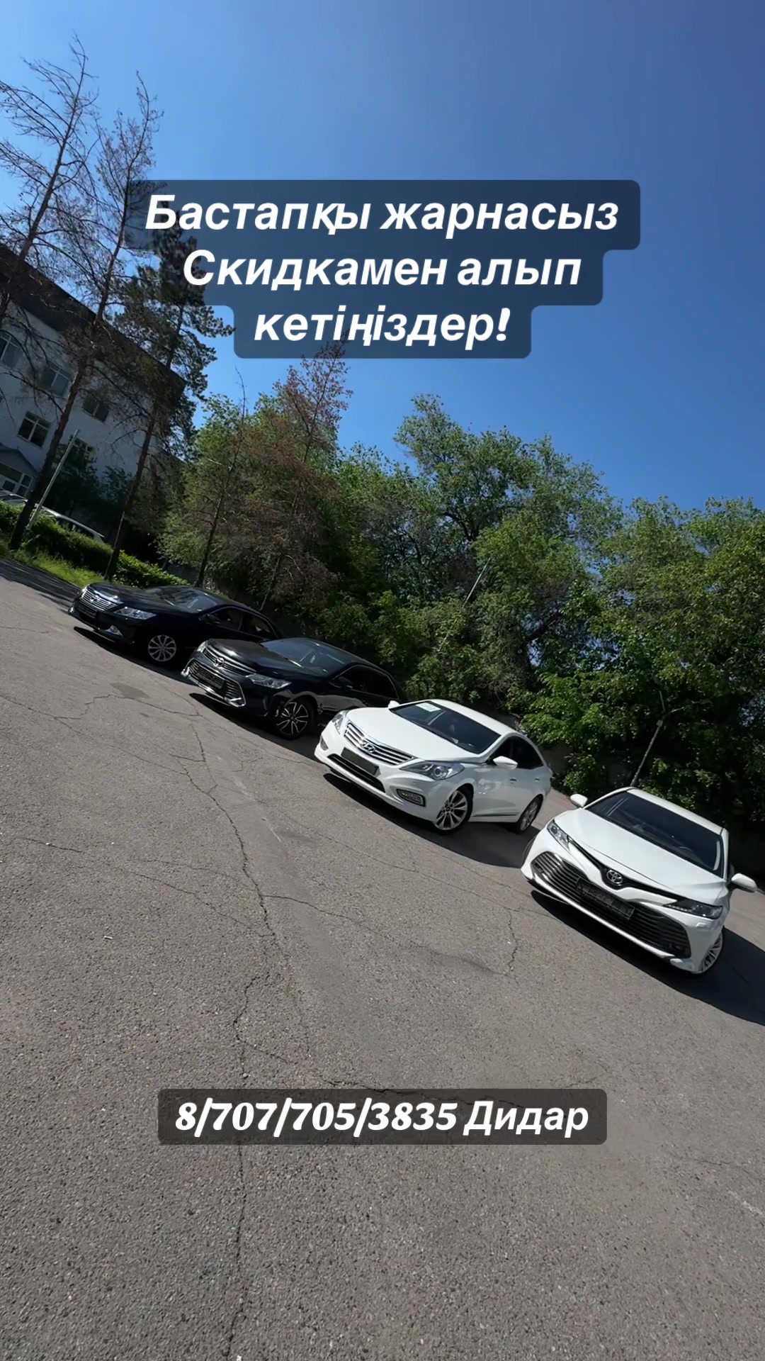 @bay_cars