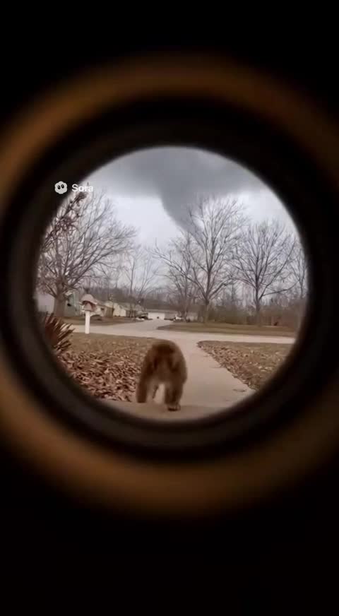 @зюзя