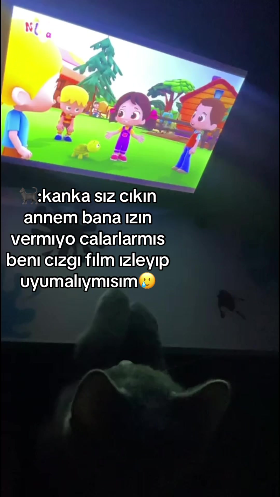 @🦭