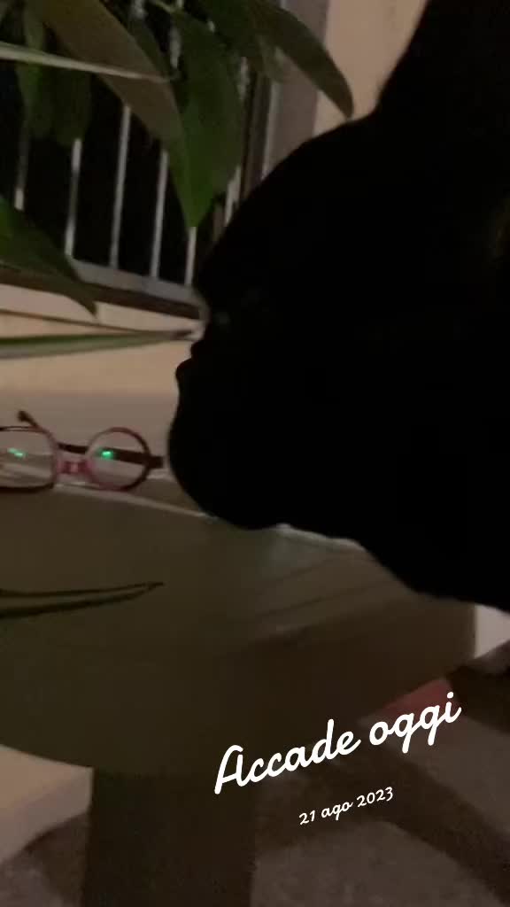 @Apolide