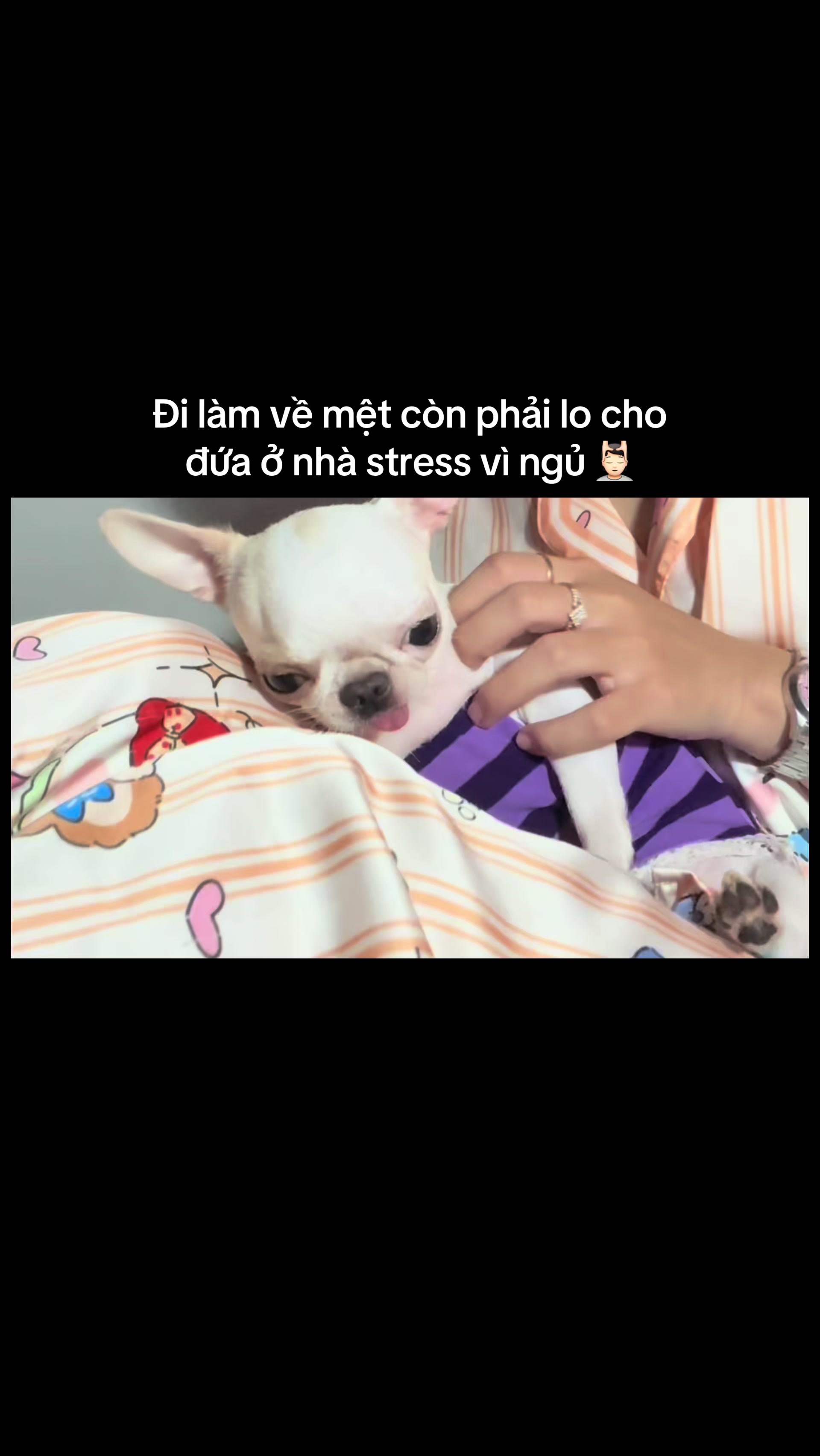 @L&uacute;n L&egrave;👽